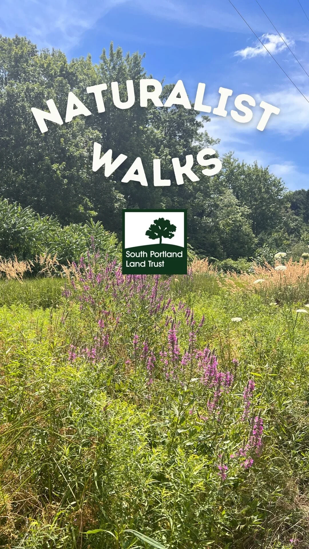 Contact — South Portland Land Trust