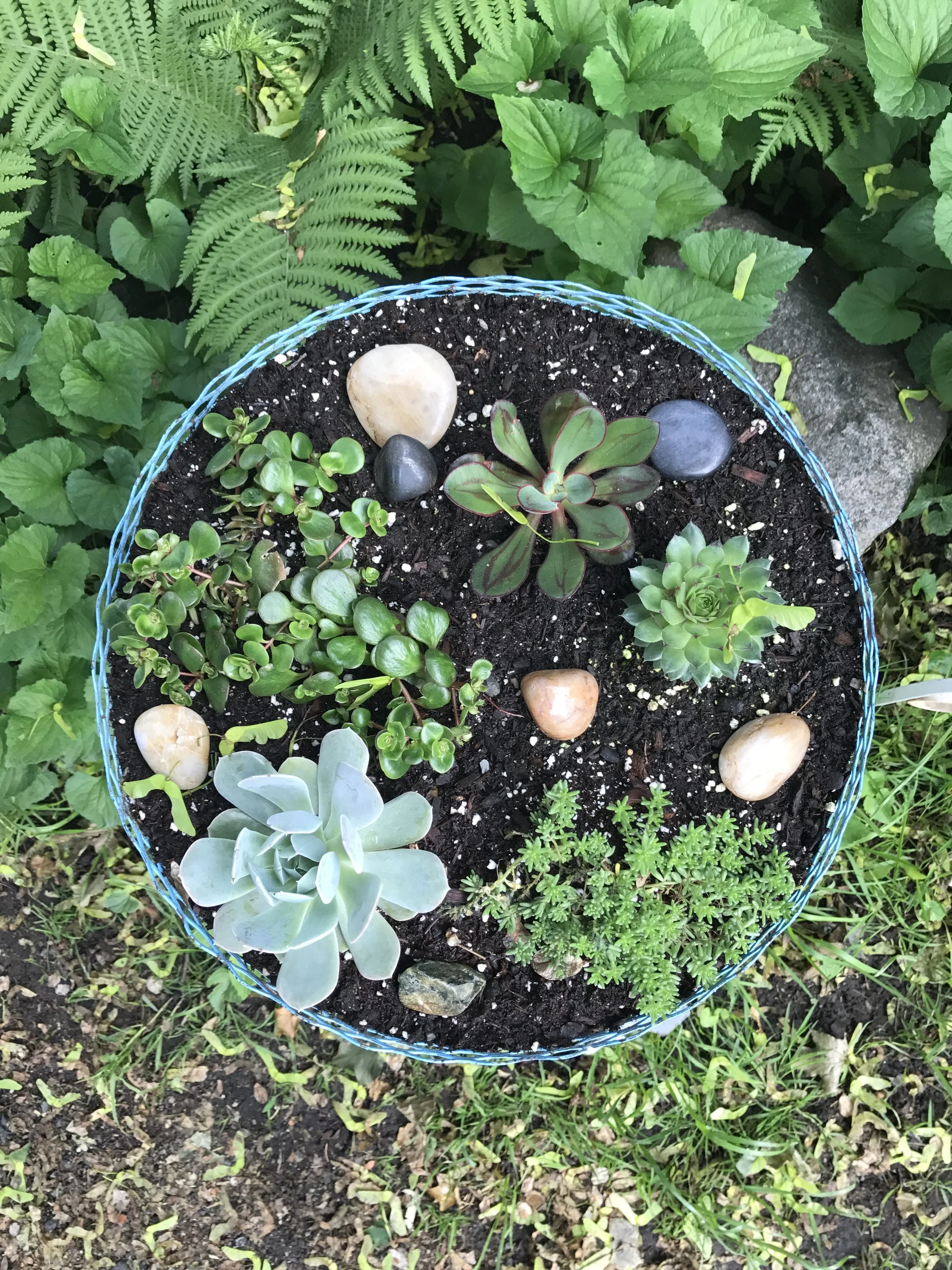 Terrarium Building