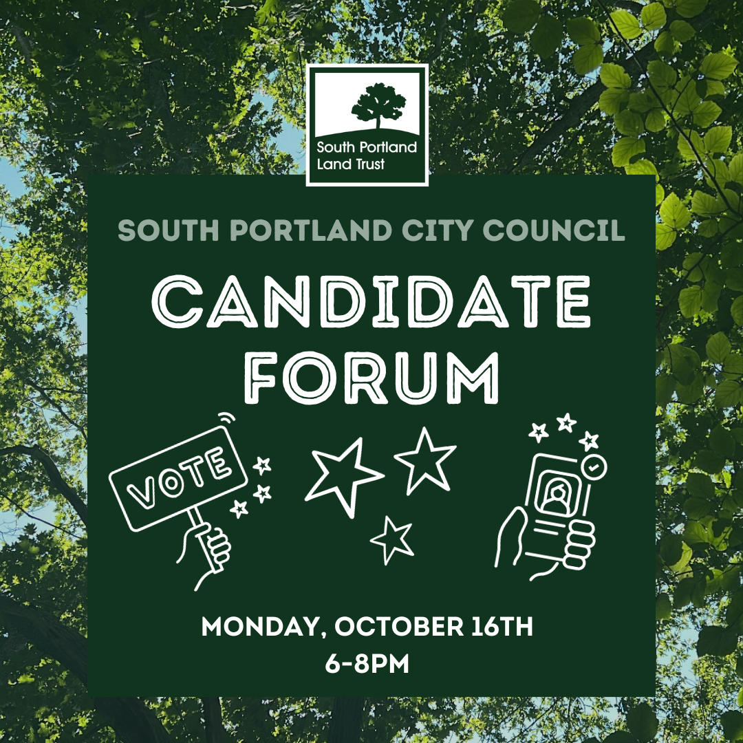 City Council Candidate Forum