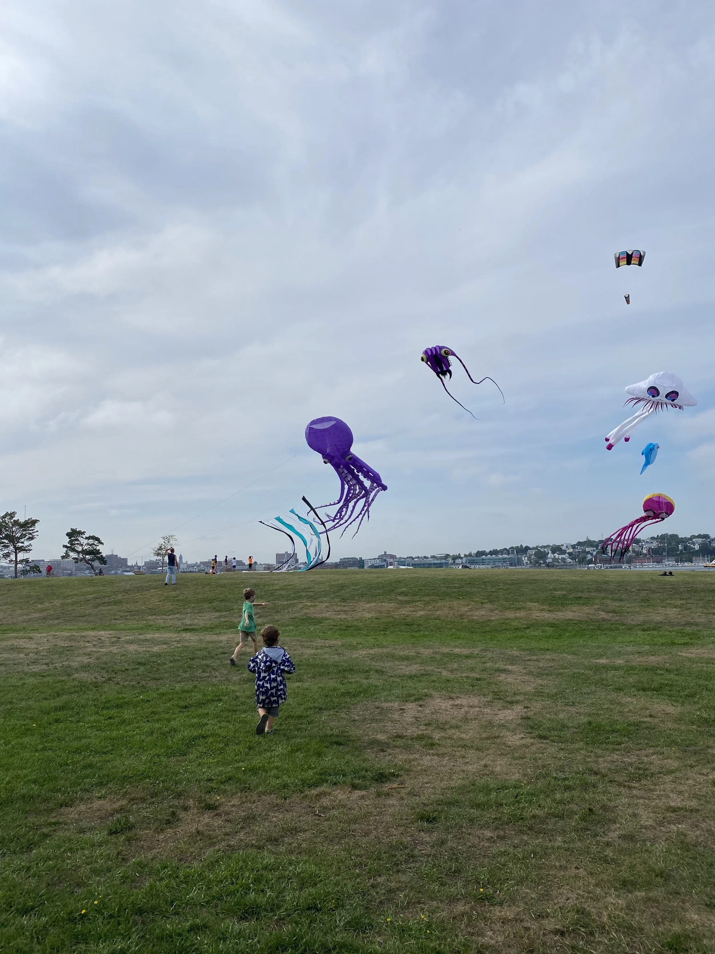 IMG_8024.JPG