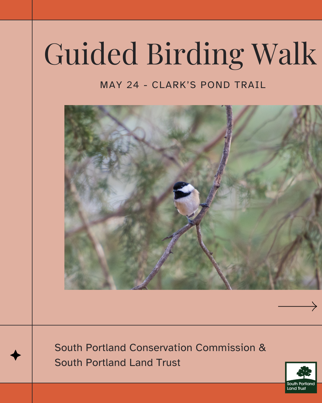 Guided Birding Walk