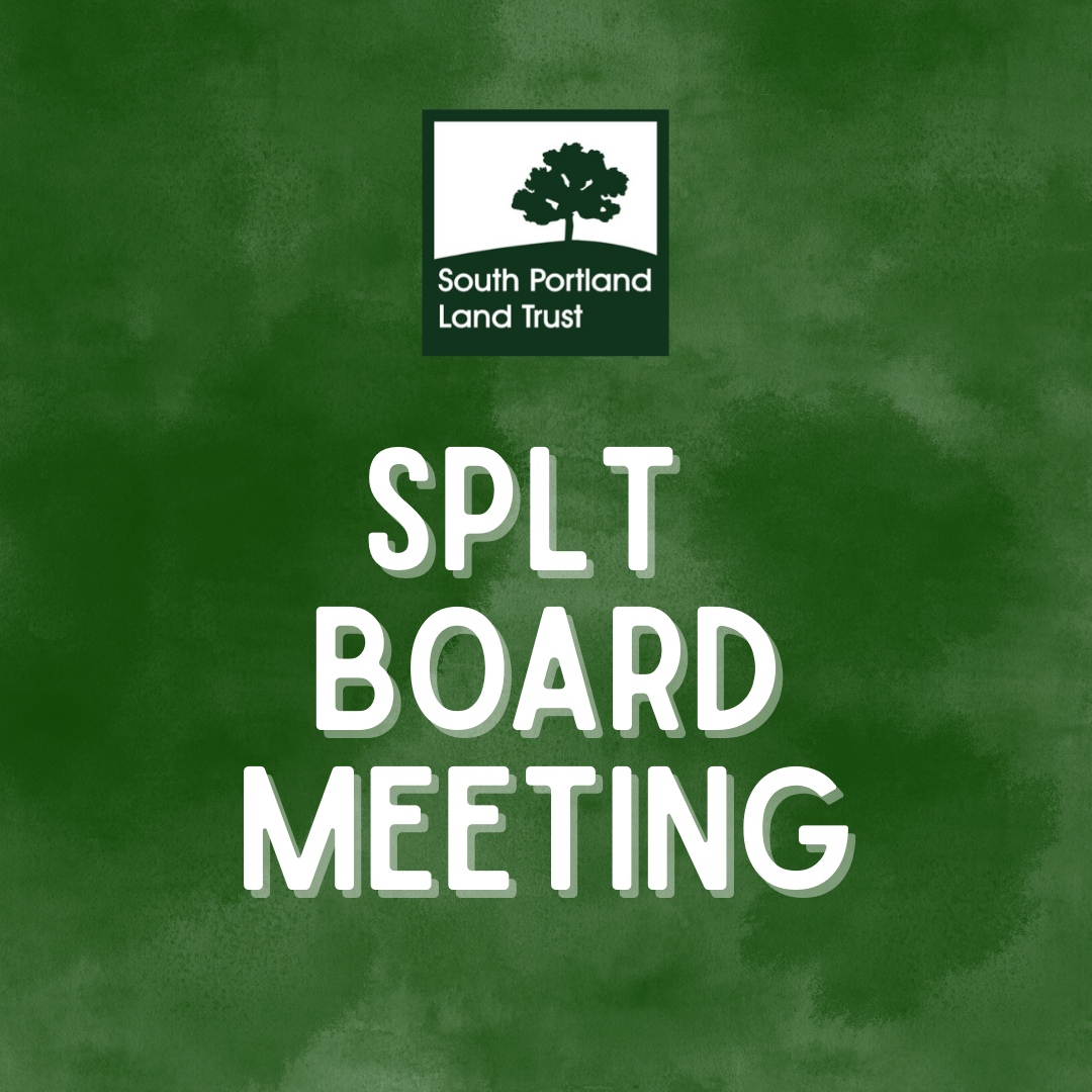 SPLT Board Meeting