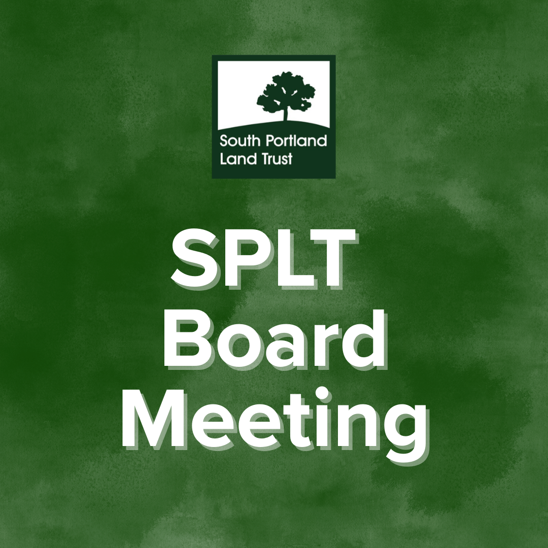 SPLT Board Meeting