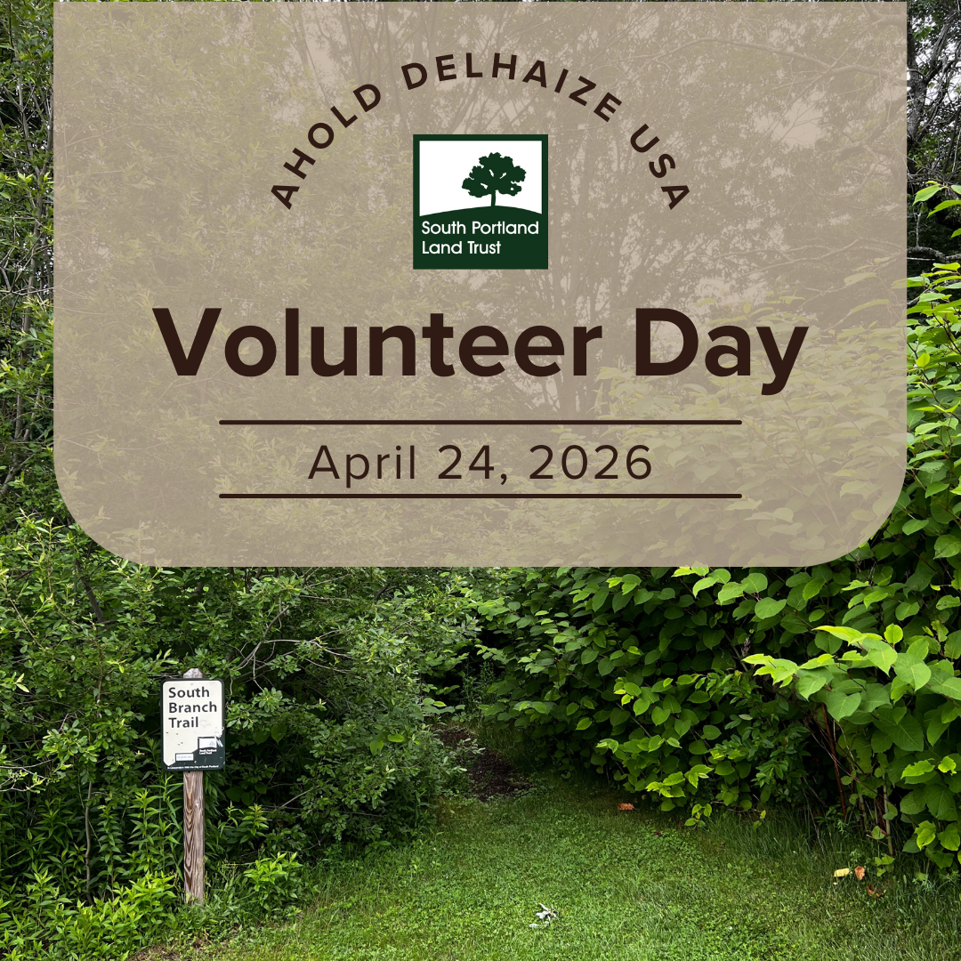 Ahold Delhaize USA Volunteer Day