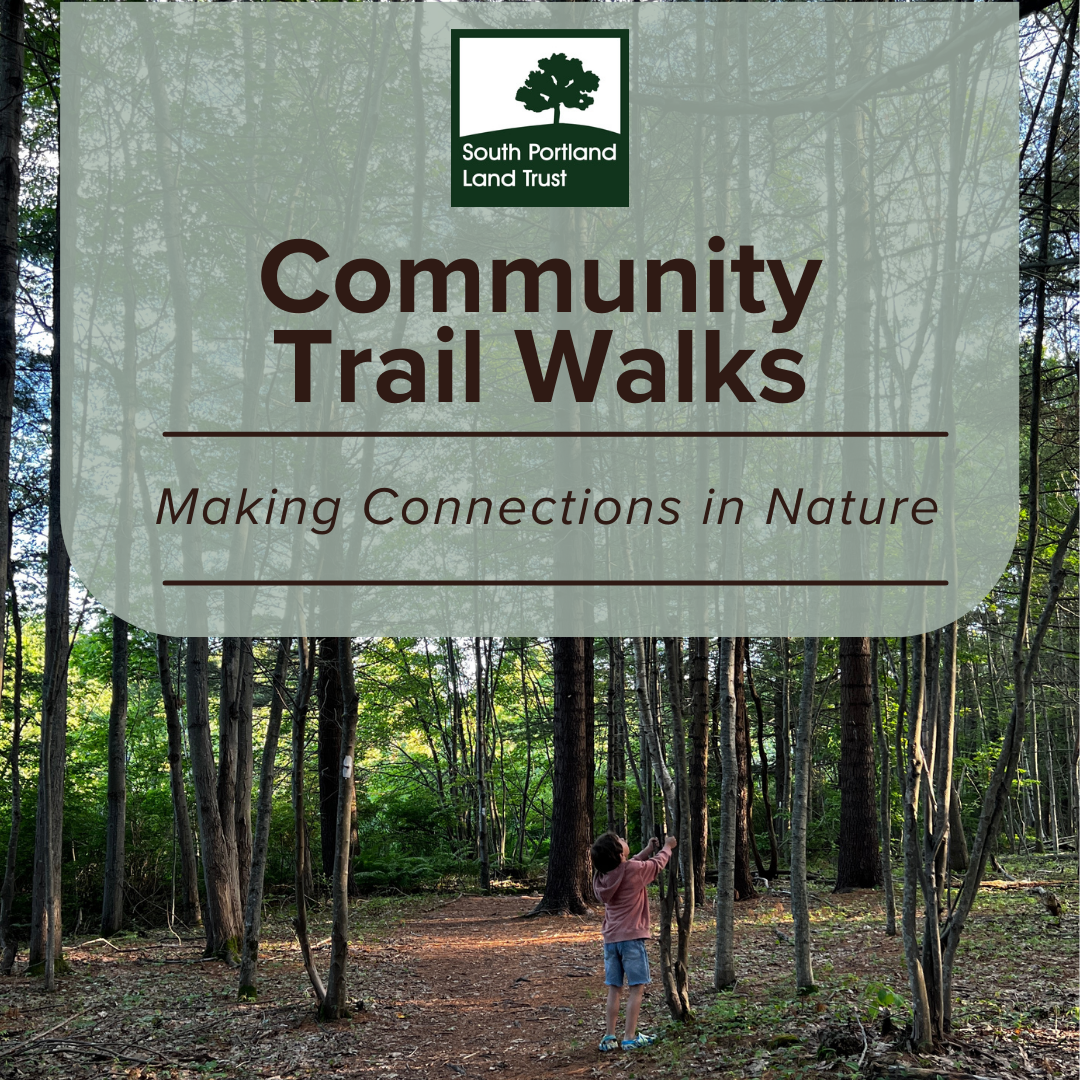 April Community Trail Walk: Sawyer Marsh