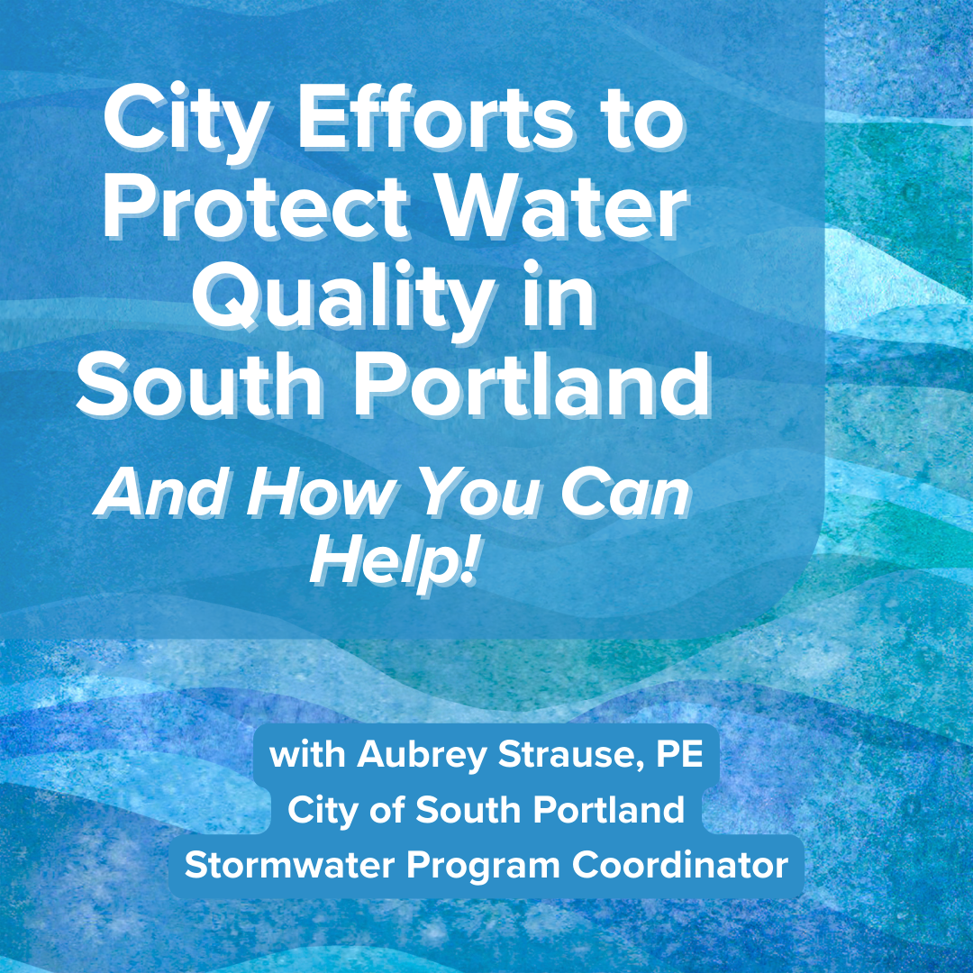 City Efforts to Protect Water Quality in South Portland- and How You Can Help!