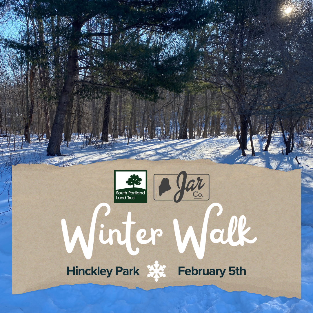 SPLT Winter Walk with Jar Co.