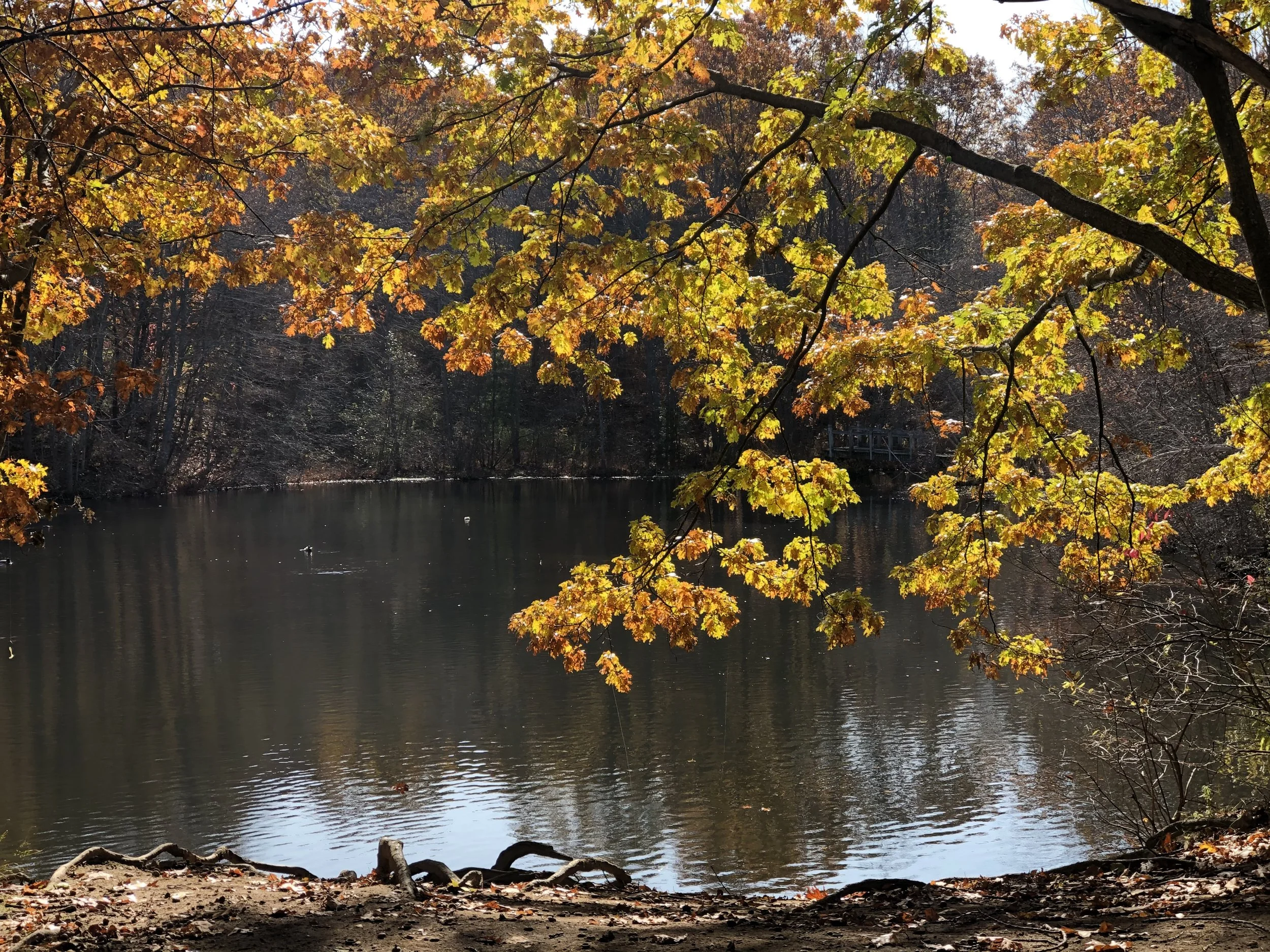 SPLT Photo Contest Winners