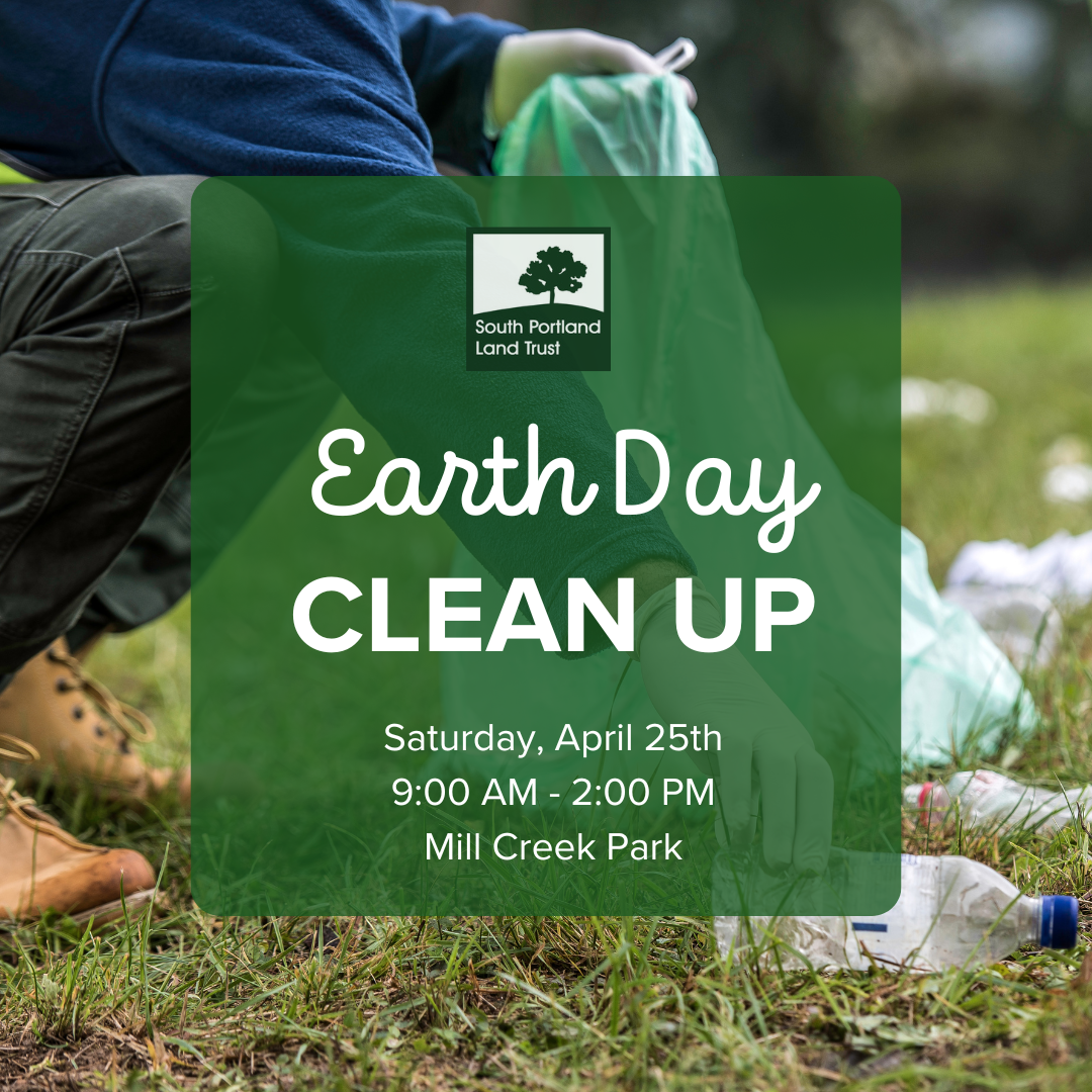 Annual Earth Day Clean Up