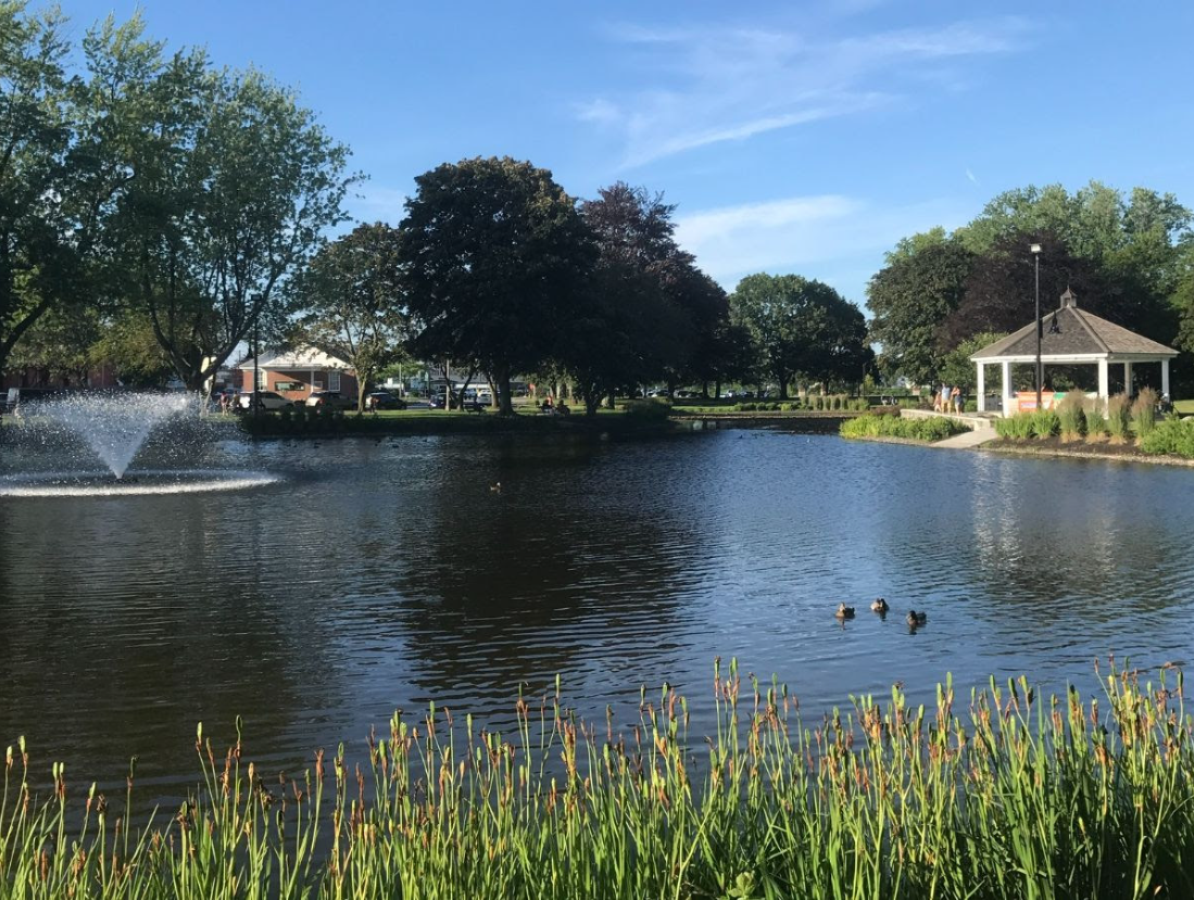 Volunteer at Art in the Park!