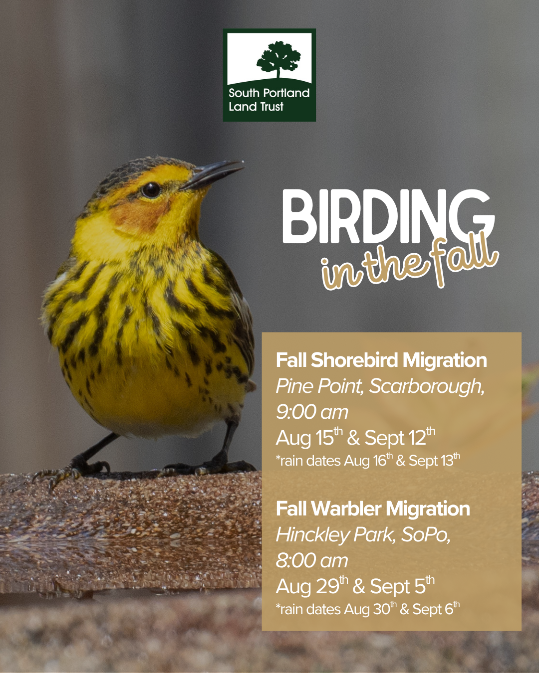 Copy of May Bird Walks.png