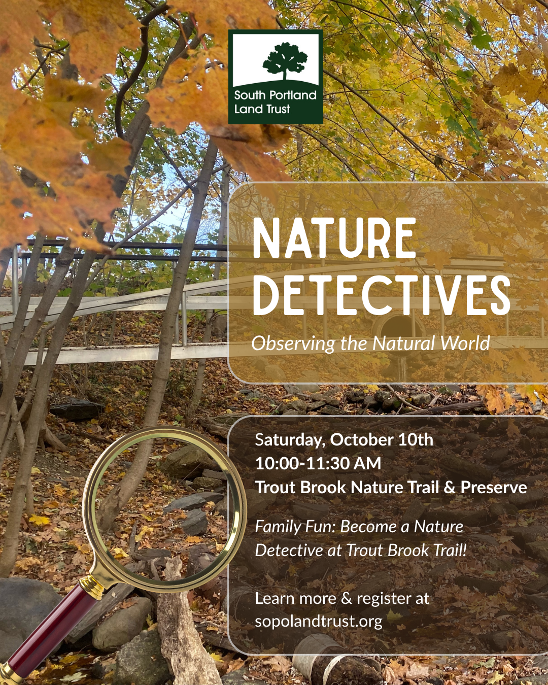 Nature Detectives: Observing the Natural World