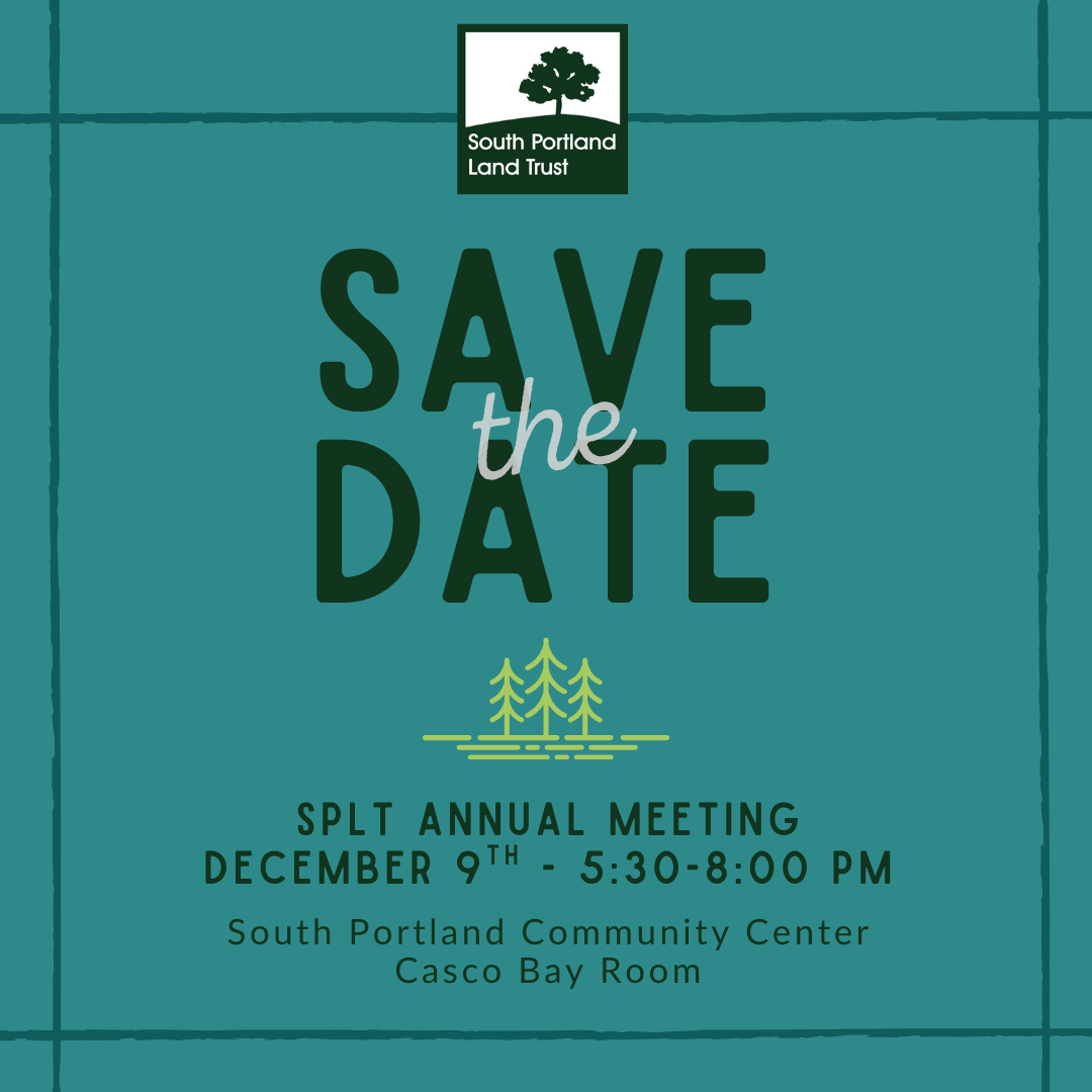 Annual Meeting & Social