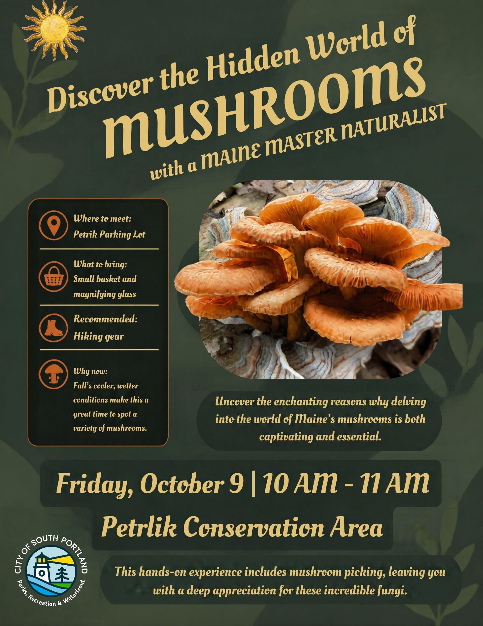 Community Event: Discover the Hidden World of Mushrooms