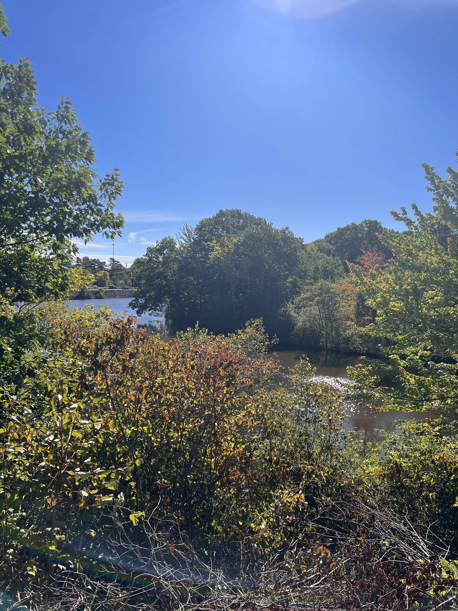 Trails — South Portland Land Trust