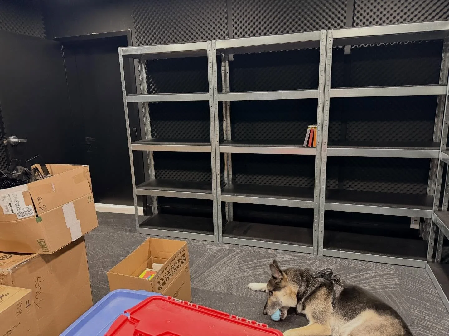 Sneak peak! First book on the shelf in our new home ☀️📚💖
More details to follow!