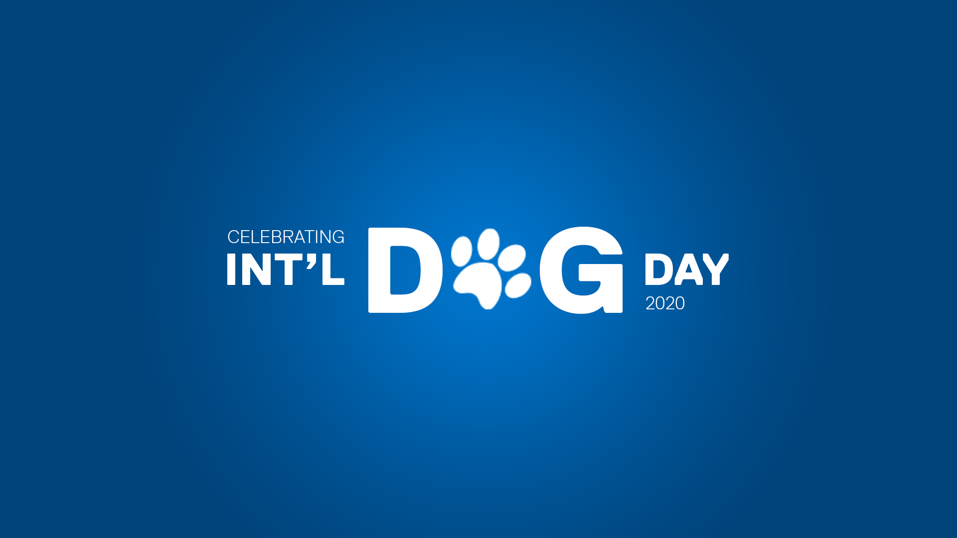 IDD_cover.png