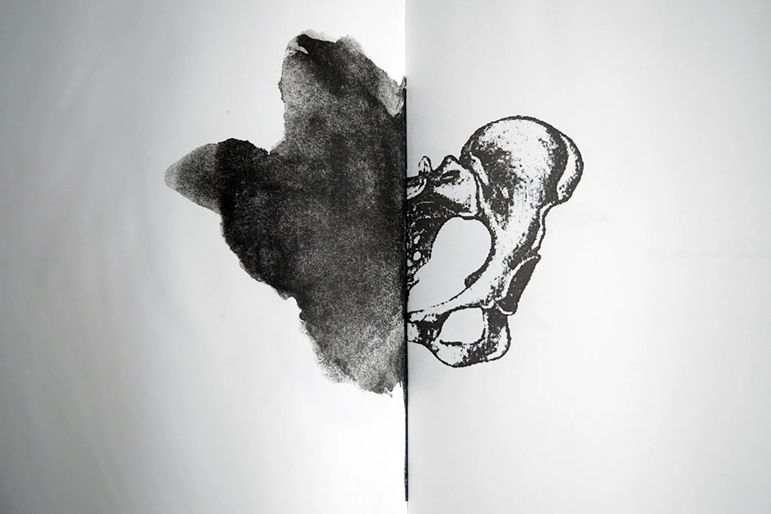 ALL DISEASE (2017) Handmade paper, Lithography, Letterpress, Quarter leather sewn binding 22"x15" (open)