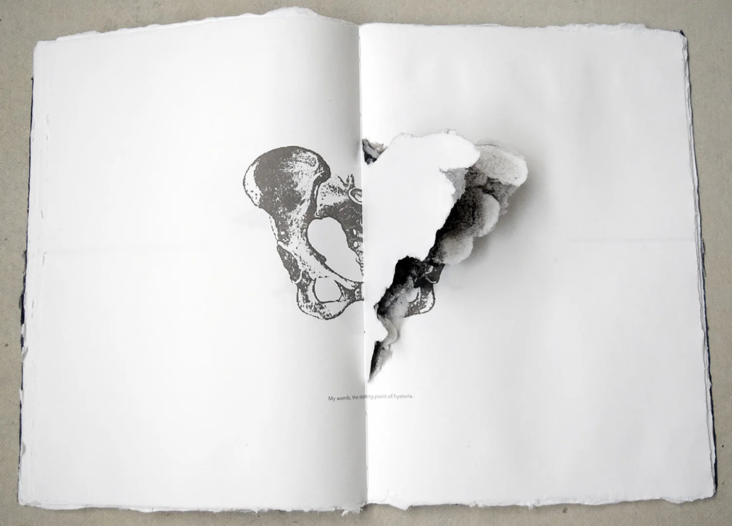 ALL DISEASE (2017) Handmade paper, Lithography, Letterpress, Quarter leather sewn binding 22"x15" (open)