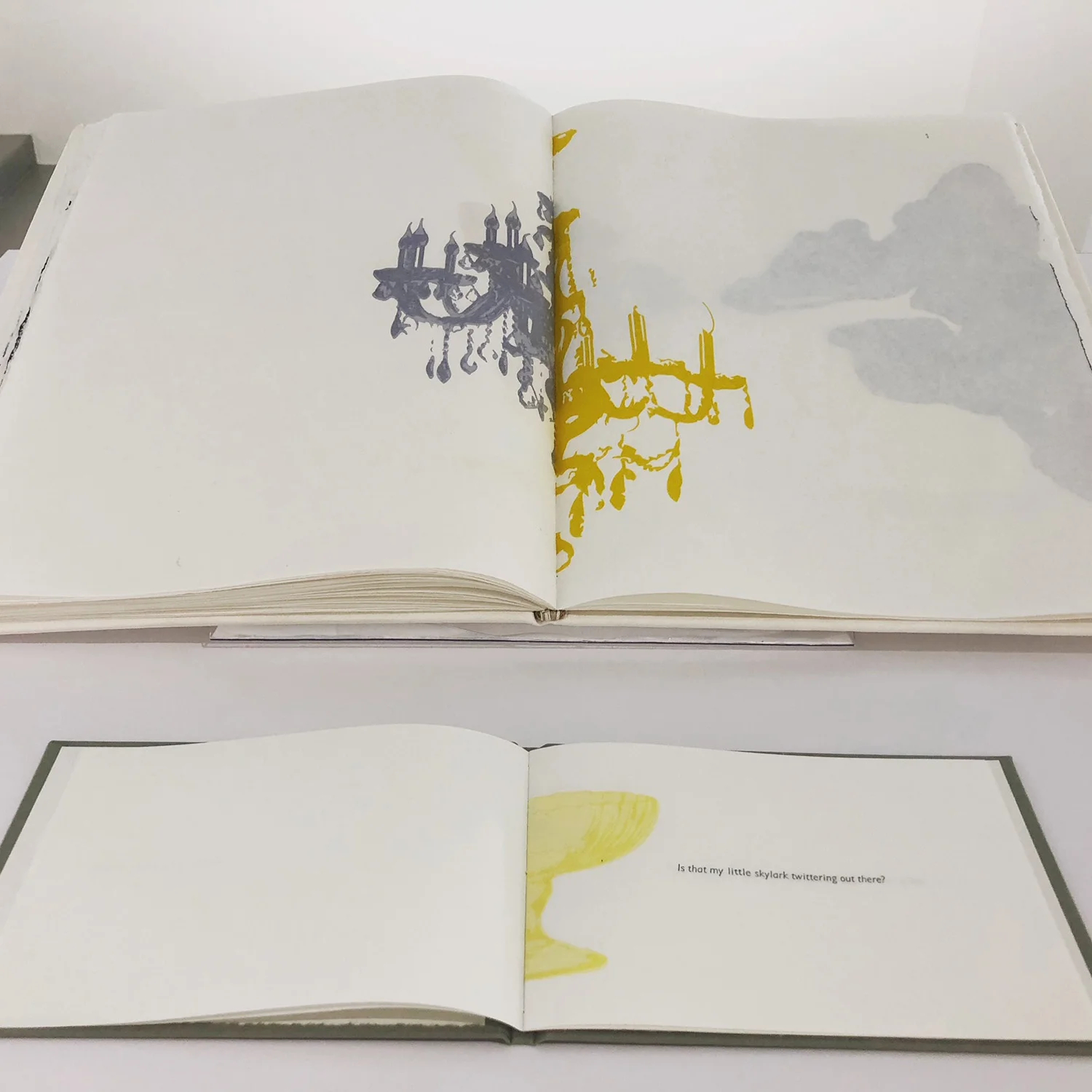 CURIO (2018) Handmade paper, Letterpress, Lithography, Screen print, Leather binding