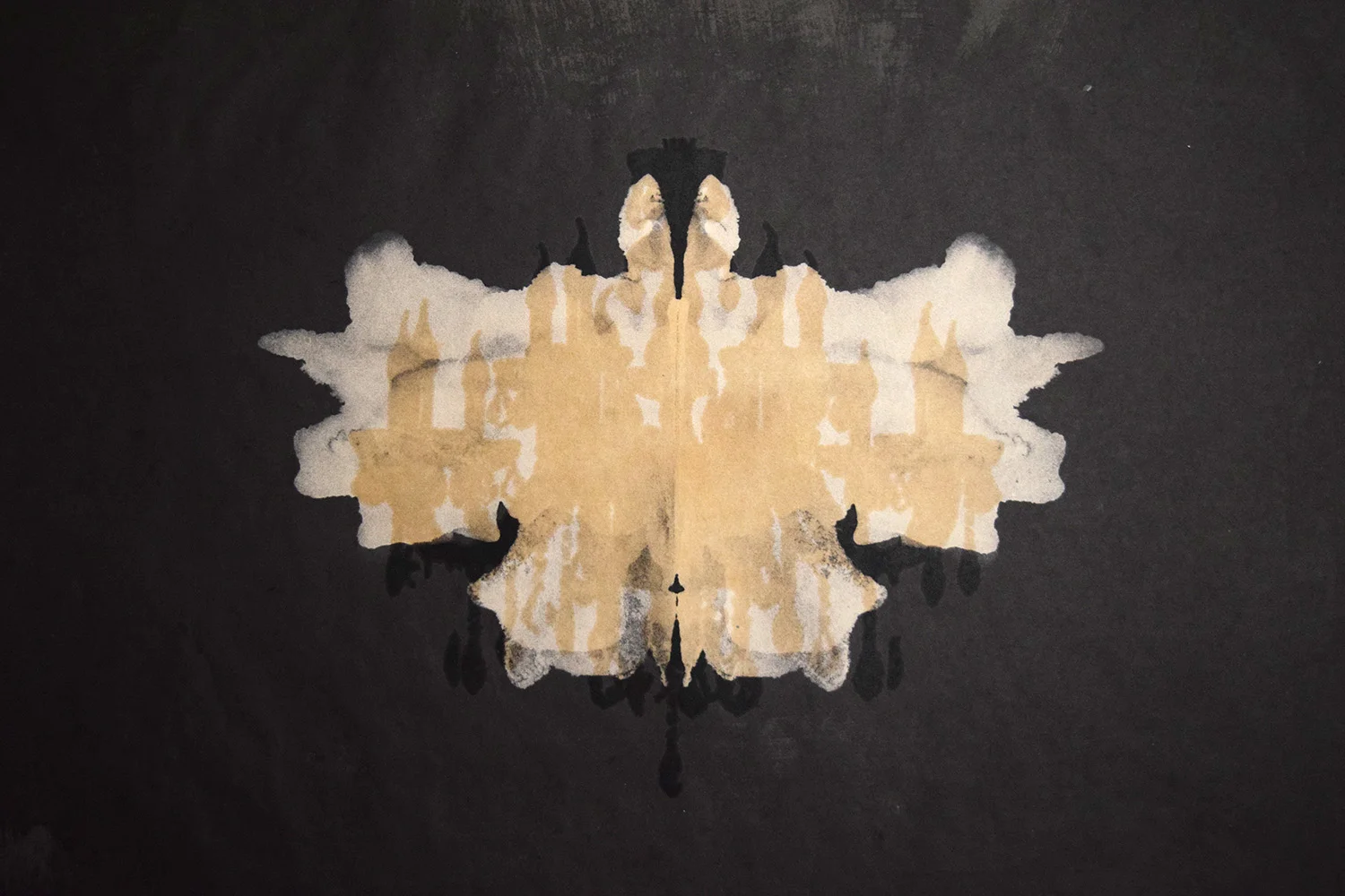 SPECIMEN (Detail) (2018) Handmade paper, Kallitype, Screen print