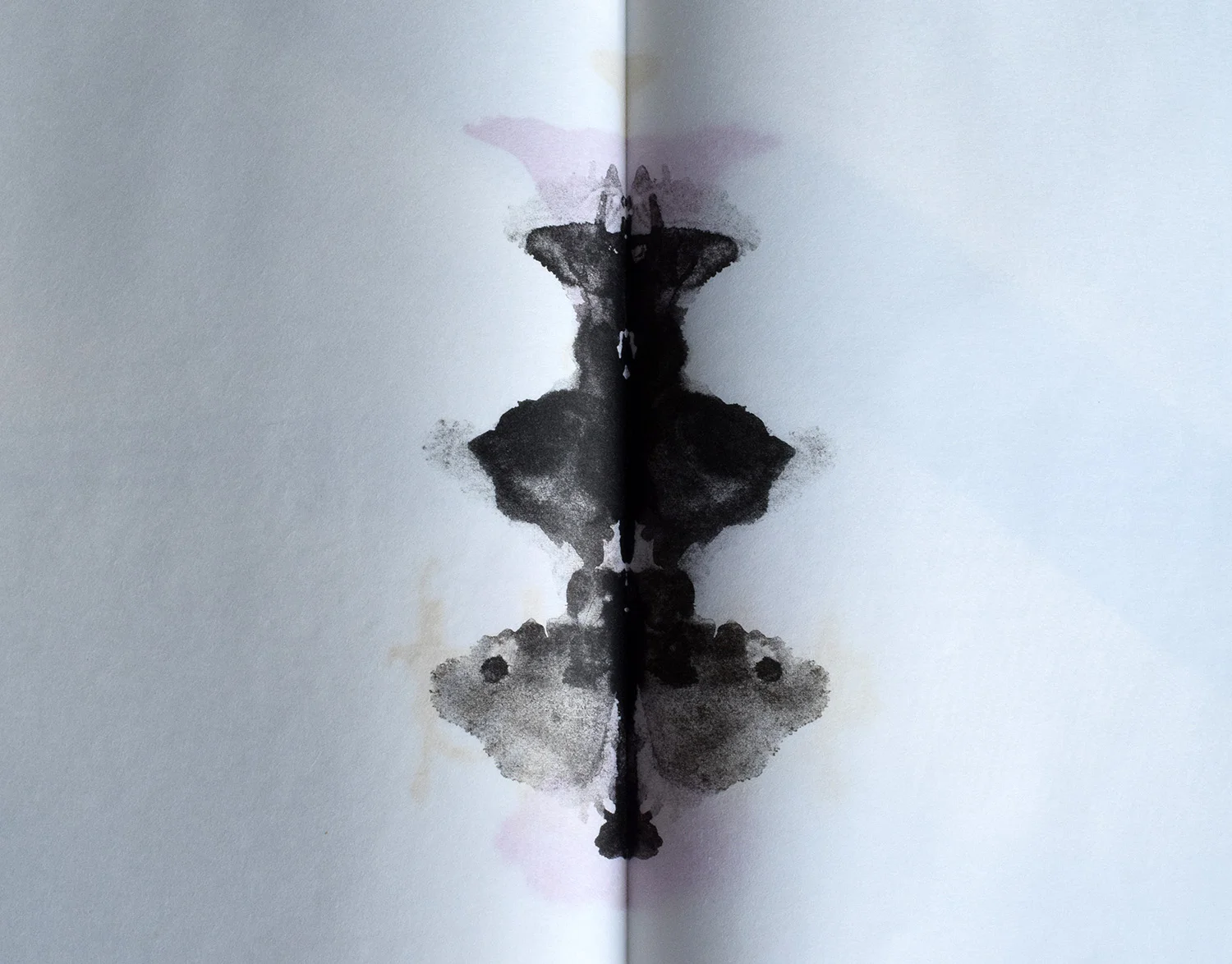 CURIO (2018) Handmade paper, Letterpress, Lithography, Screen print