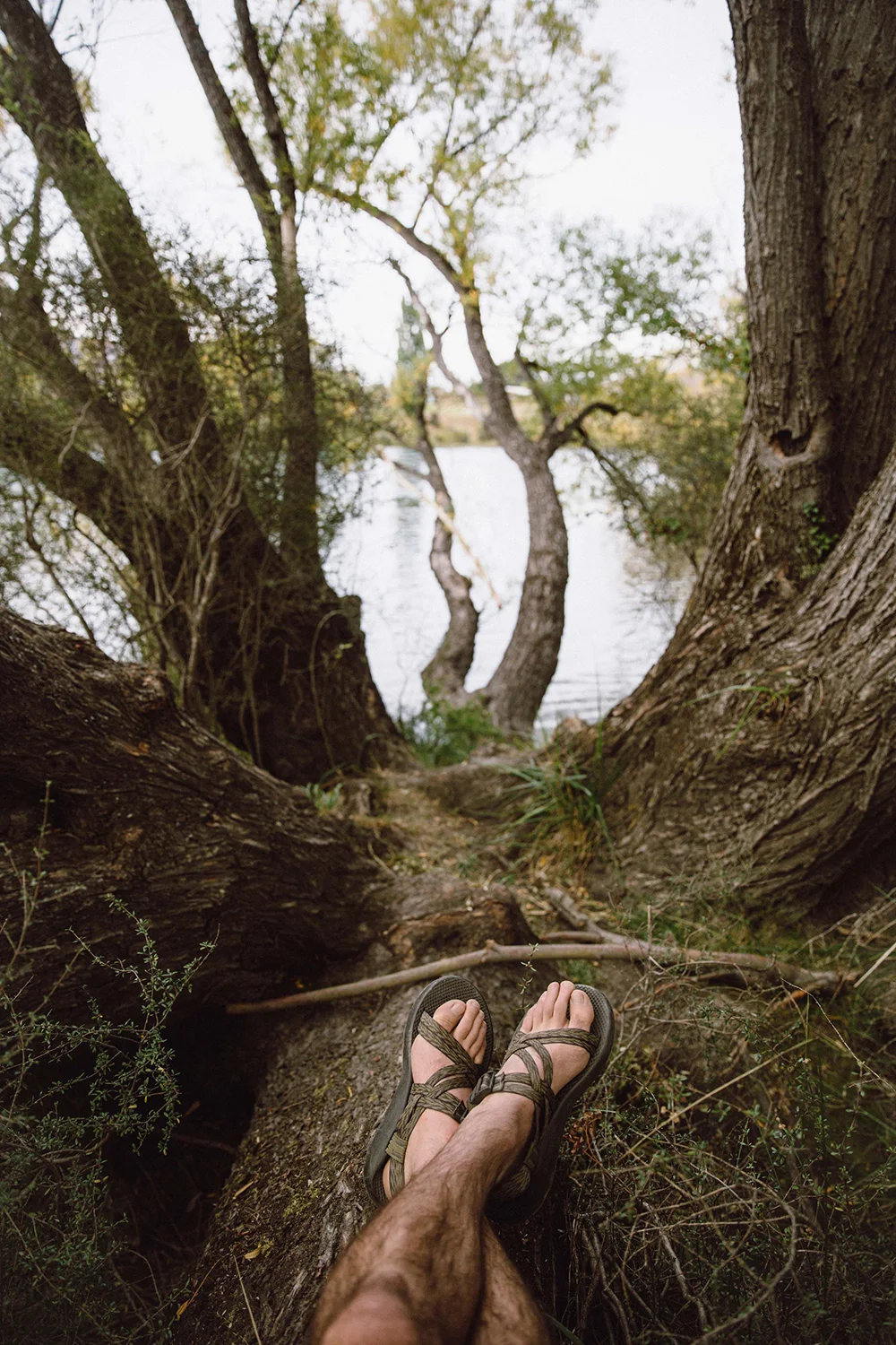Chaco - New Zealand roots