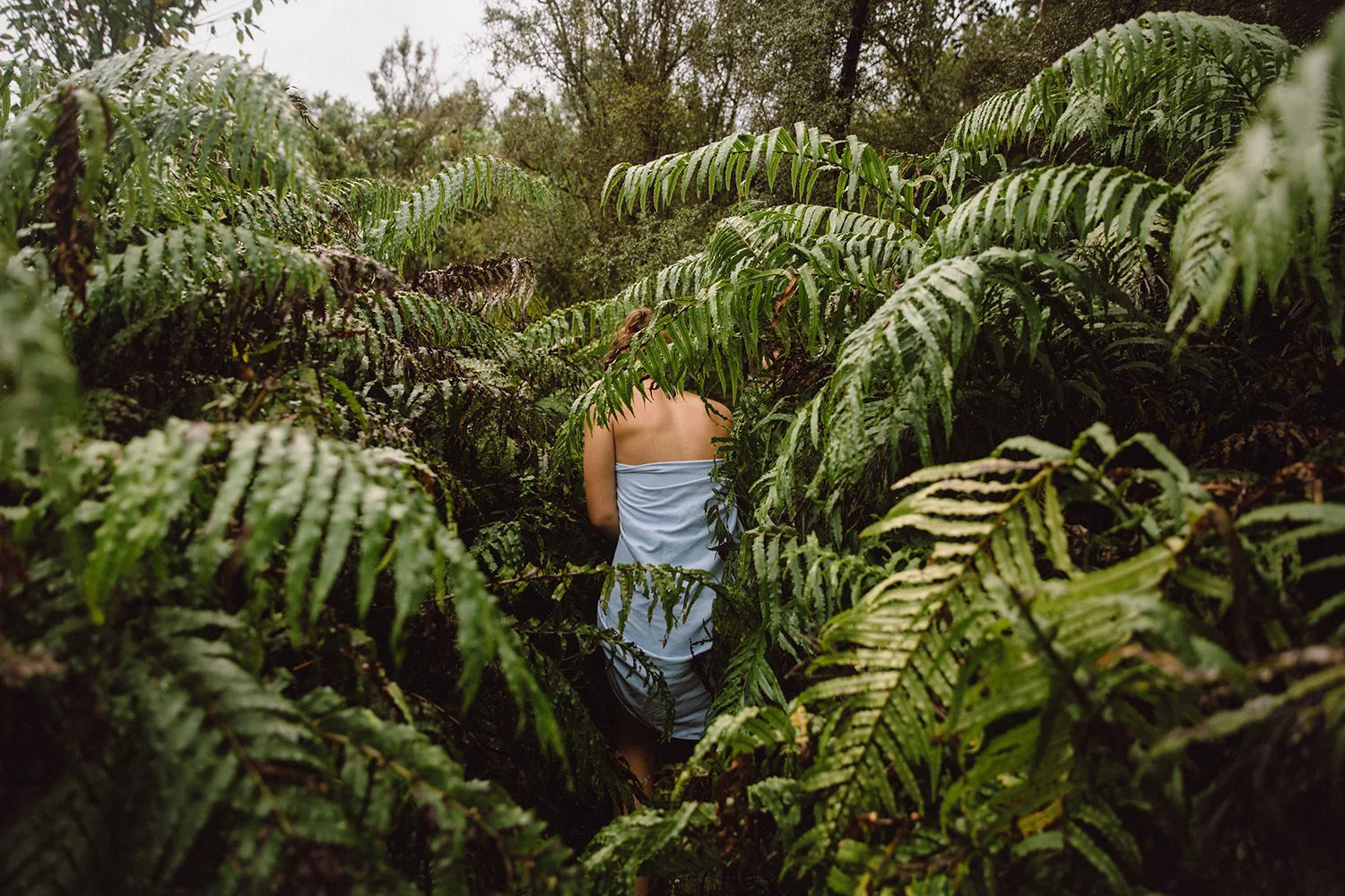 Chaco - New Zealand green