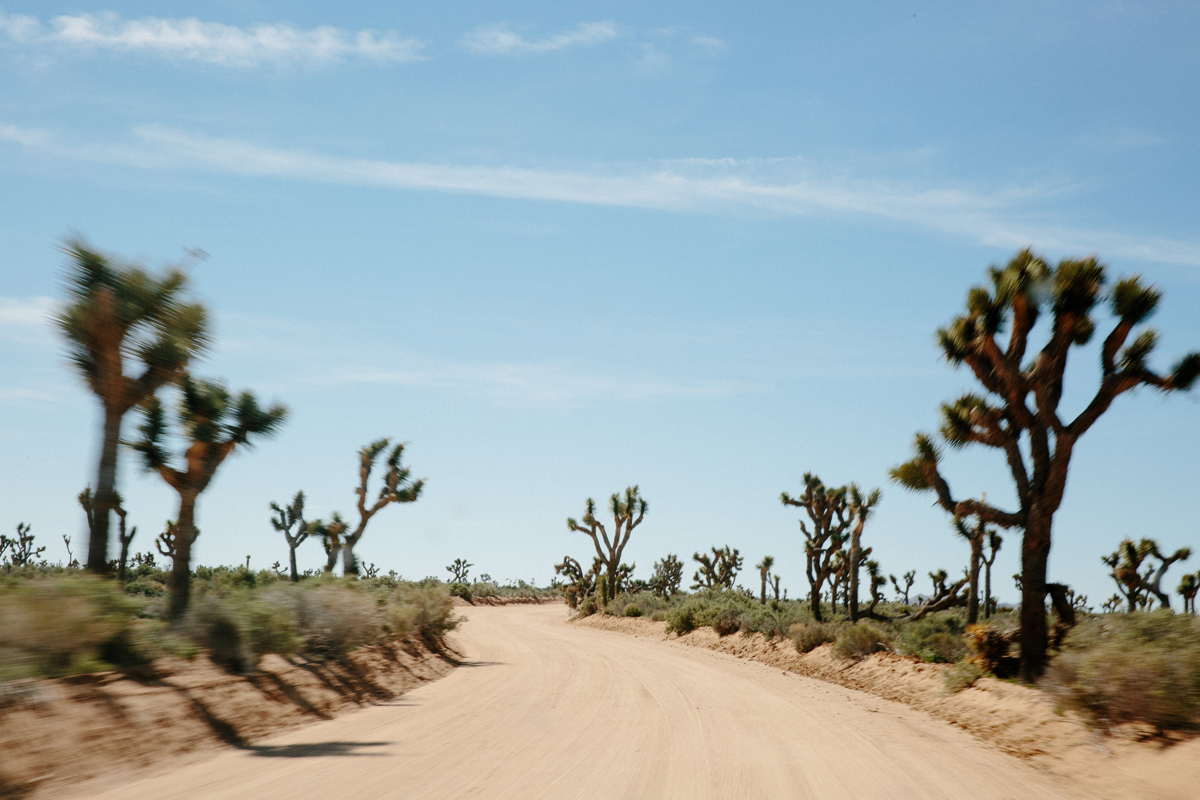 The Outbound Collective - Joshua Tree path