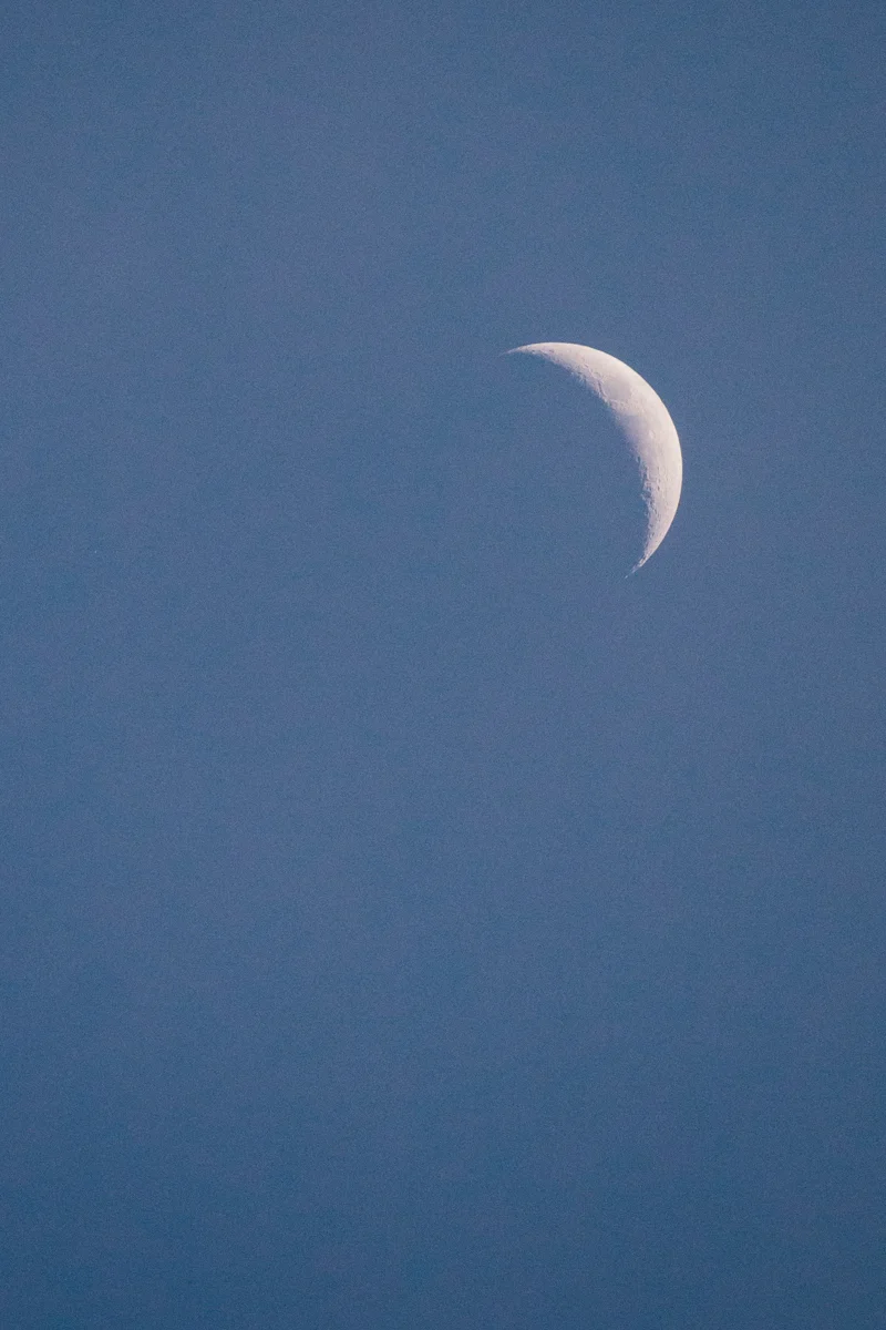CLIF Bar Nicaragua Crescent Moon