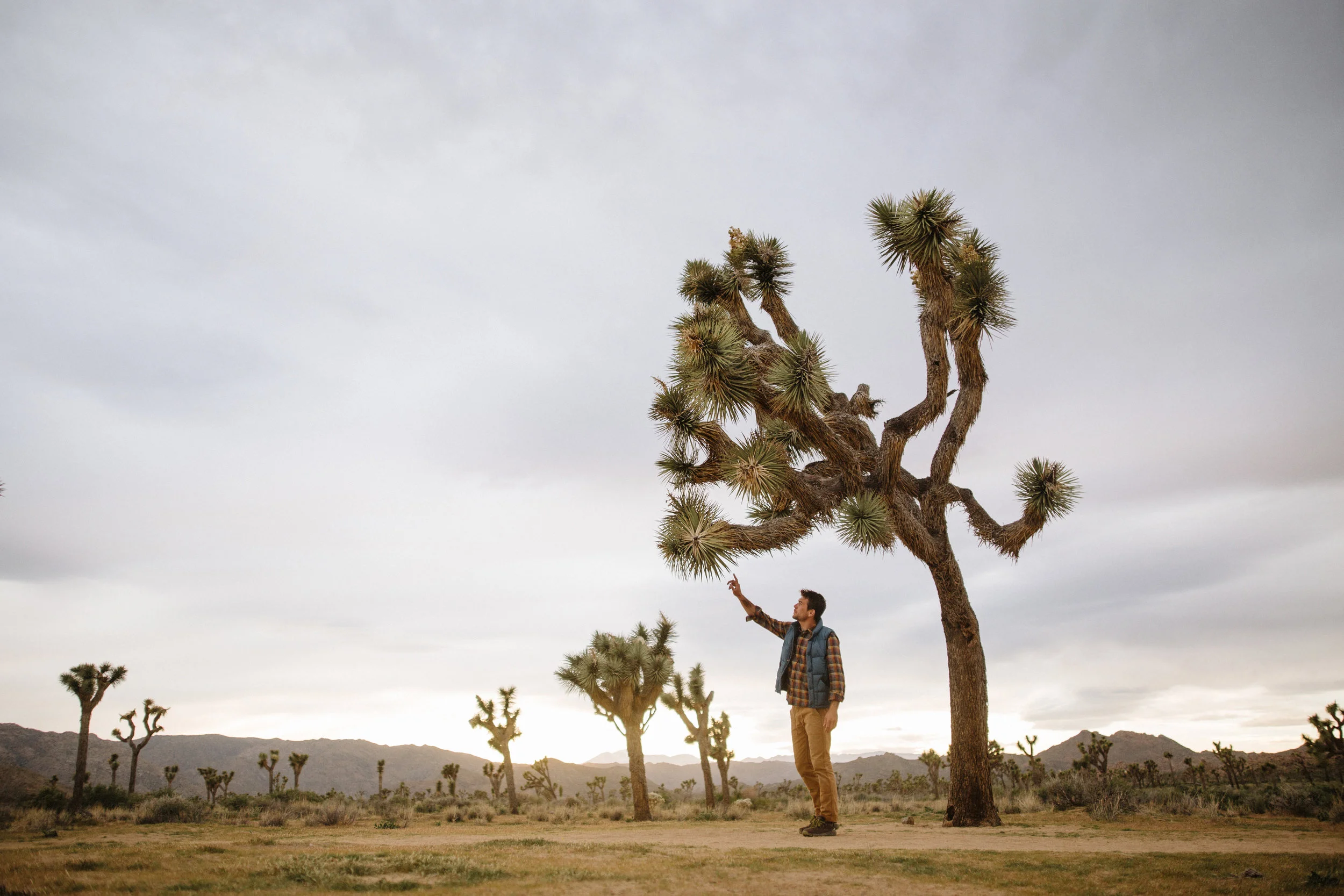 Balkin_Danner_Joshua Tree-0013.jpg