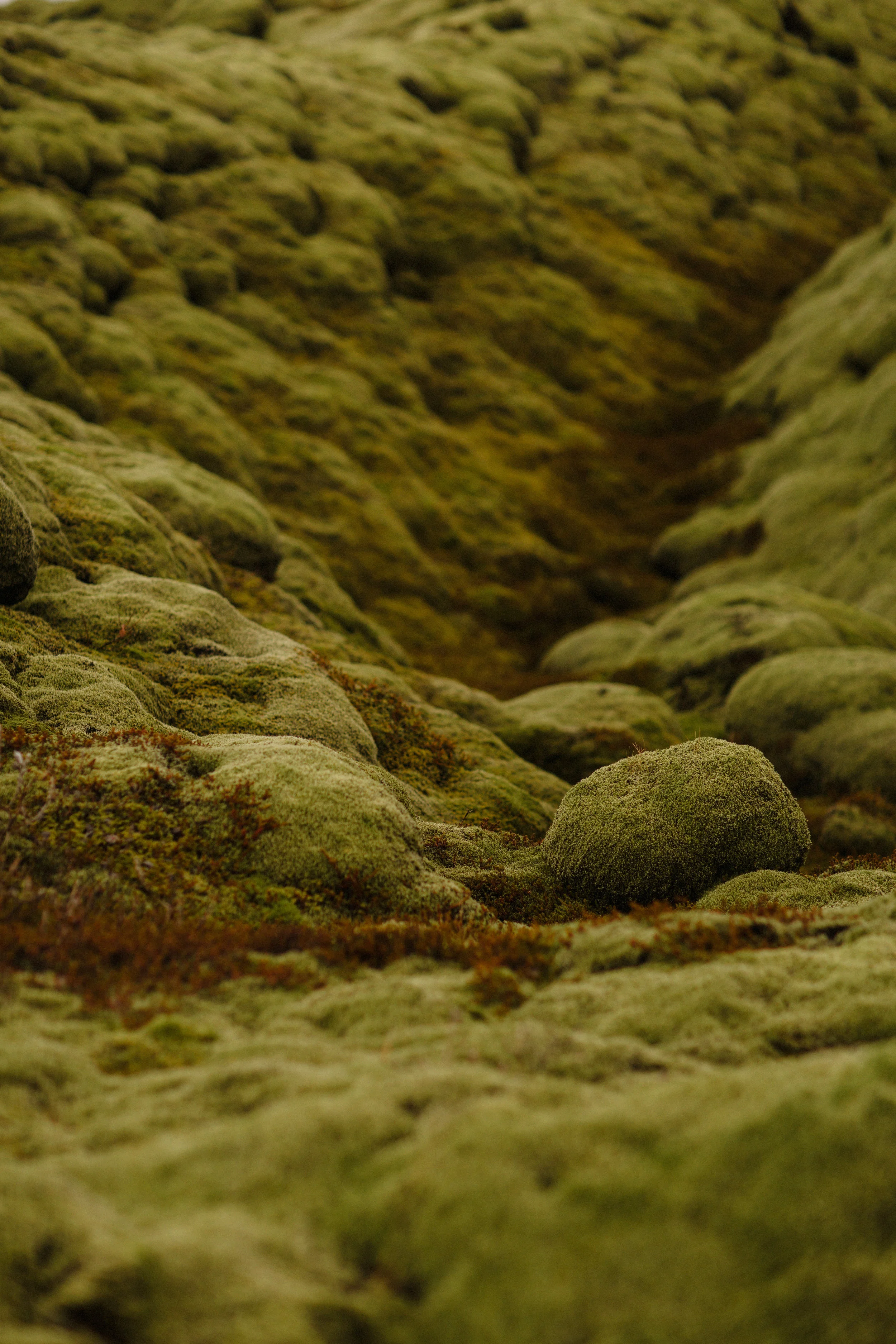 Iceland_2017-0386.jpg