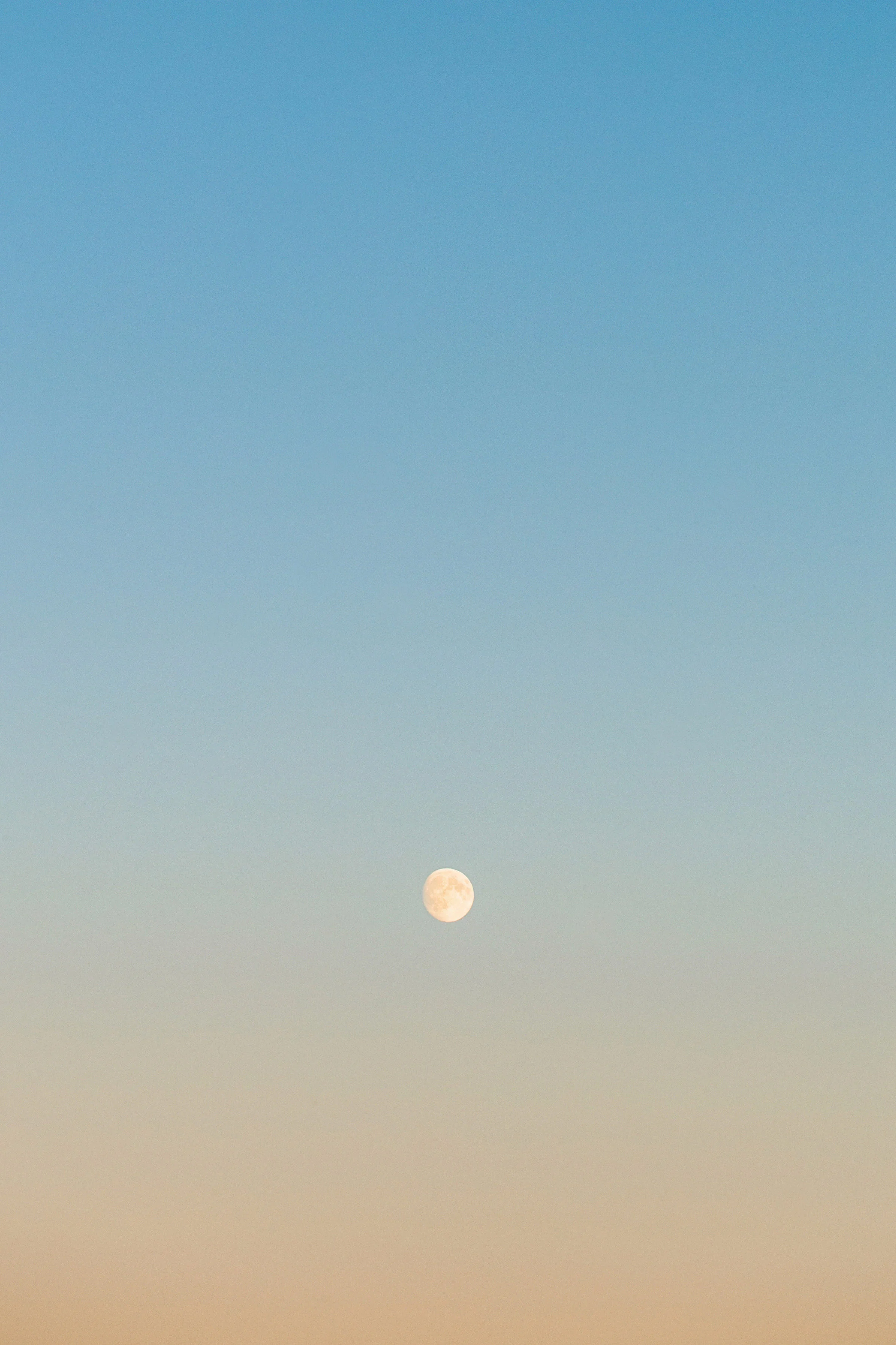 IMG_0294_1.jpg