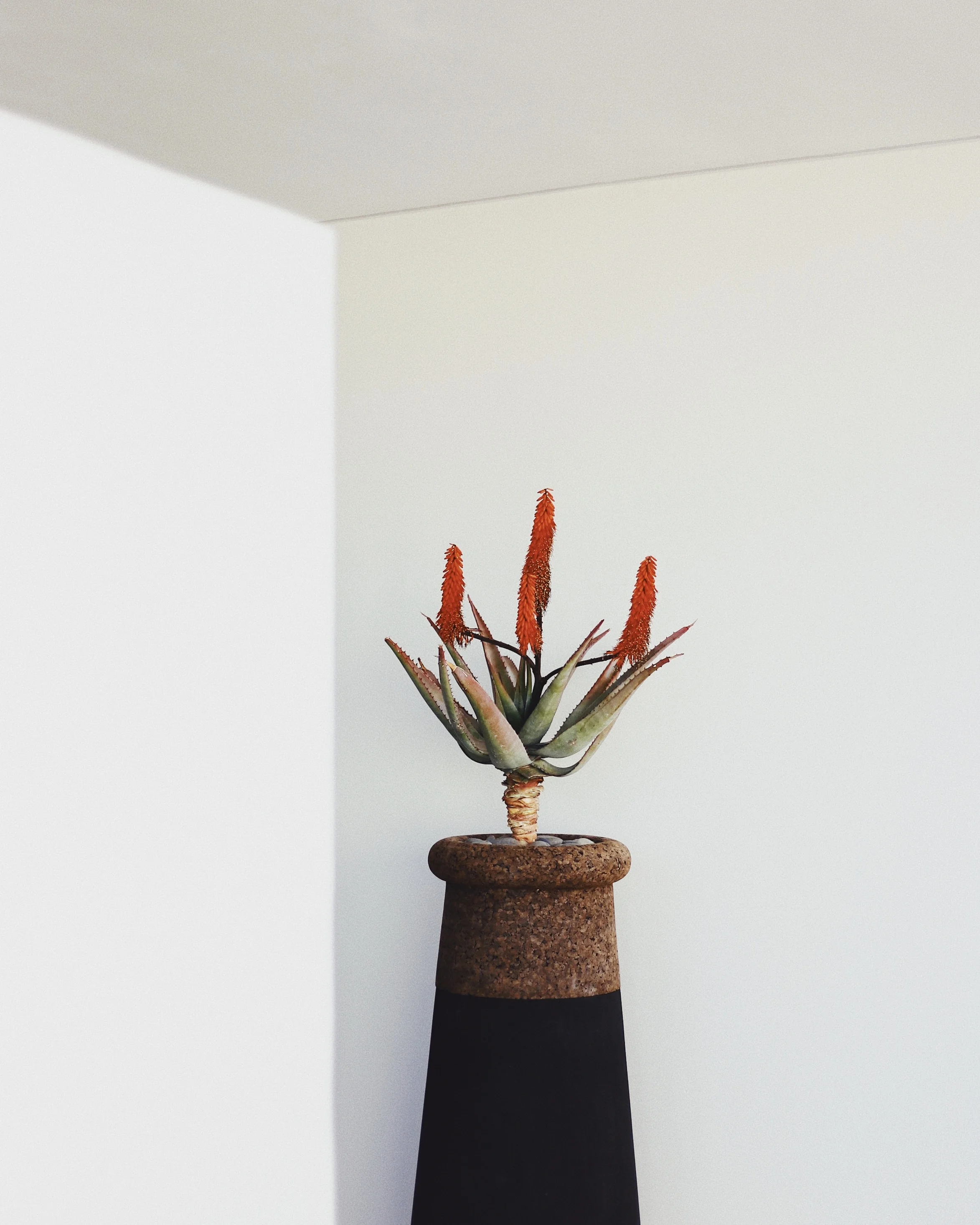 5 Tips For Mental Spring Cleaning