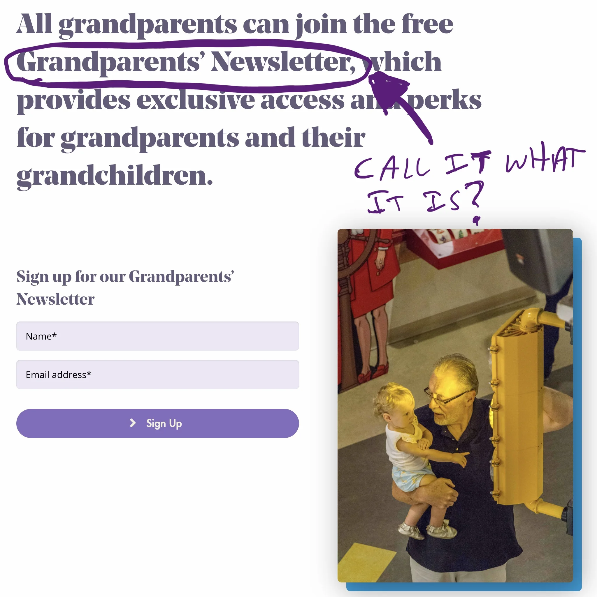 The grandparents’ page consists of a headline and sign-up form for a grandparents’ newsletter