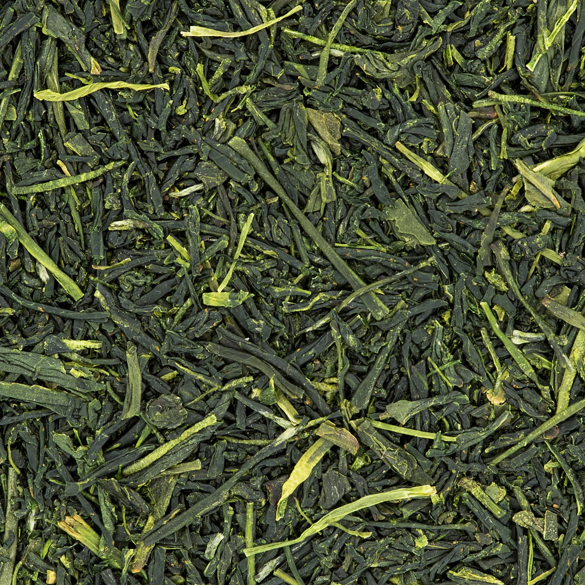 Sencha ABC_4005 copy cropped.jpg