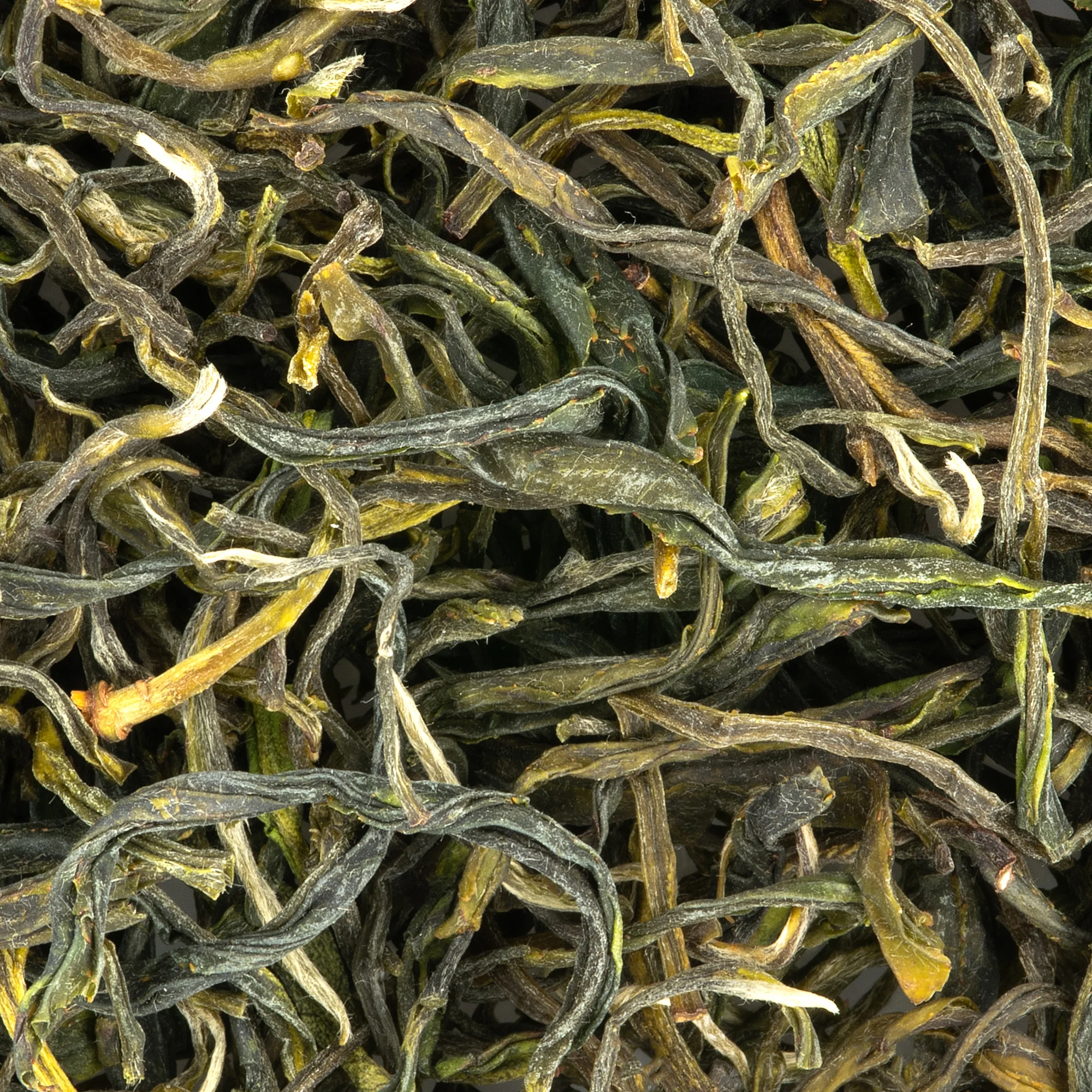 Wild Mao Feng cropped.jpg