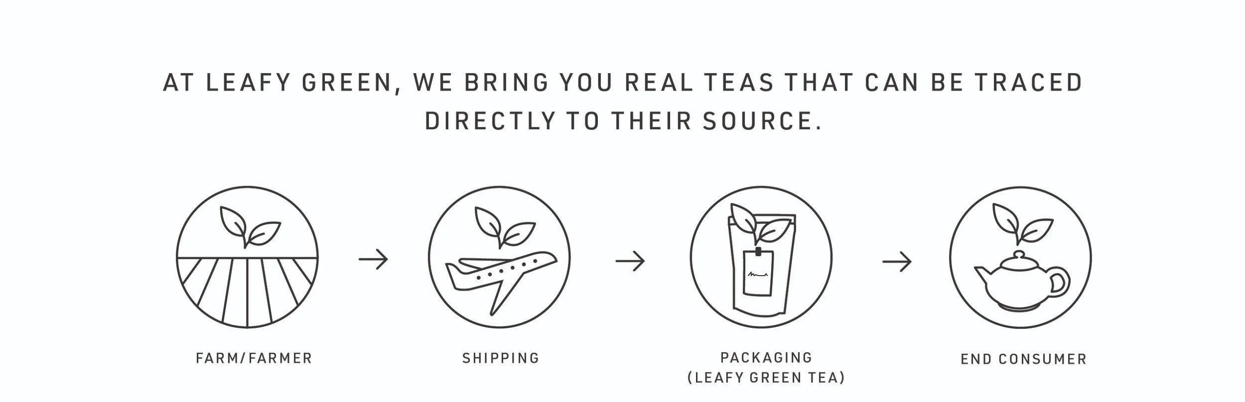 leafy%2Bgreen%2Btea_info%2Bcards_back.bw.jpg