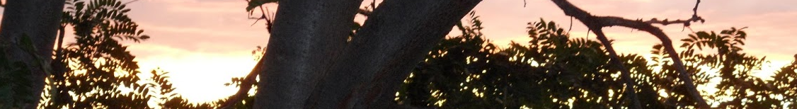 Broomfield Photo 4.png