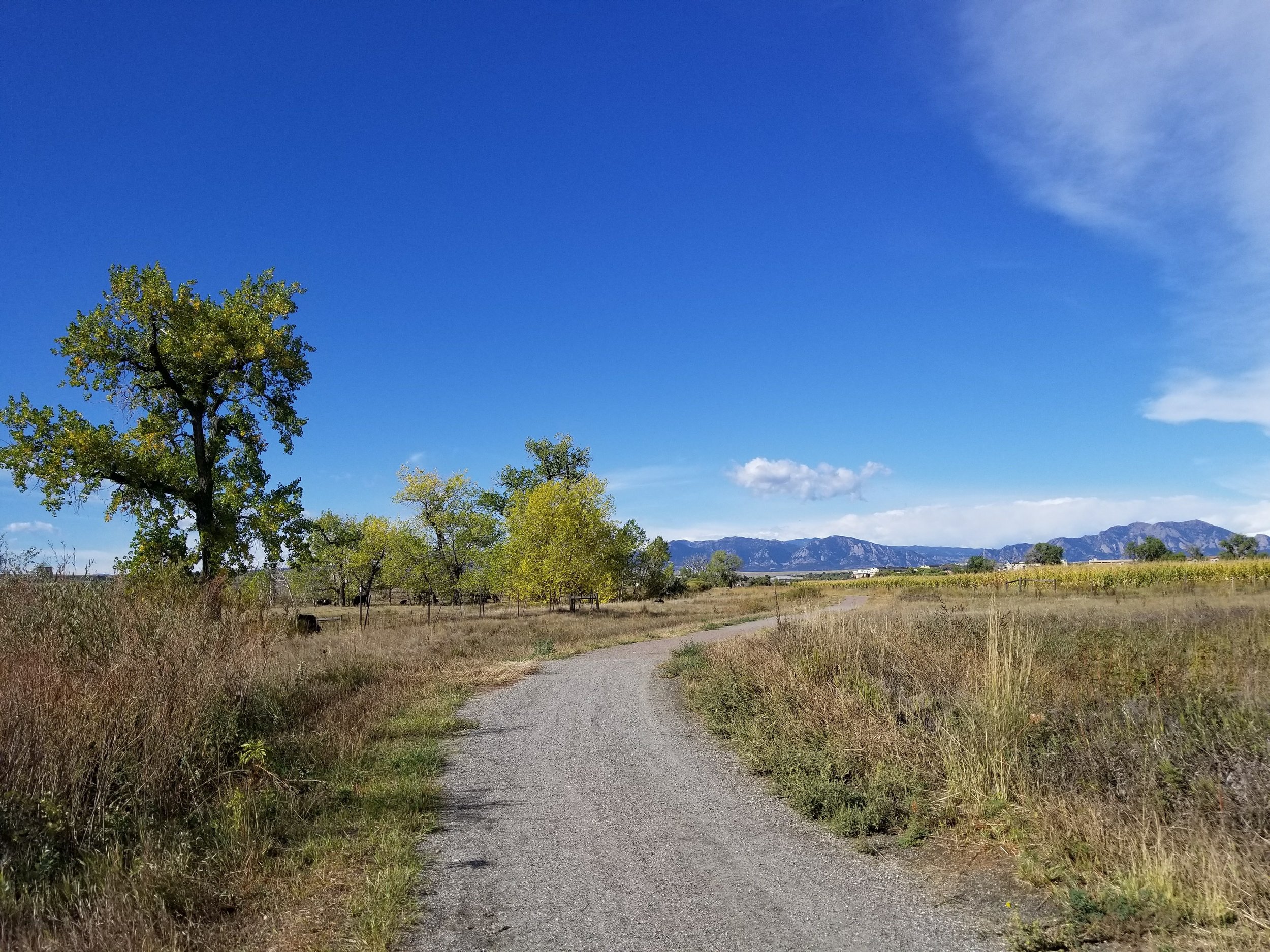 20171001_100348.jpg