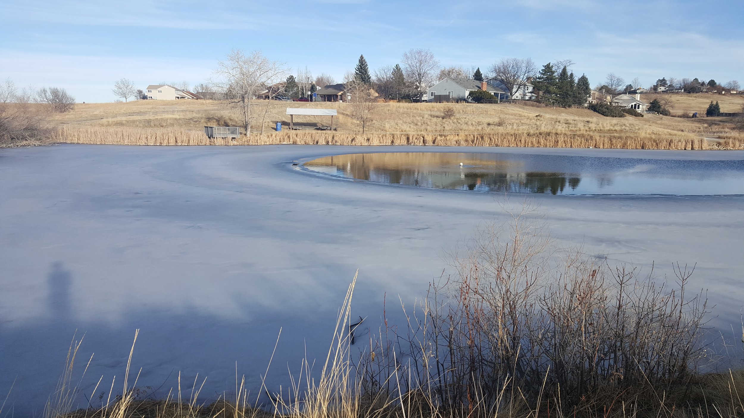 Josh's pond.jpg