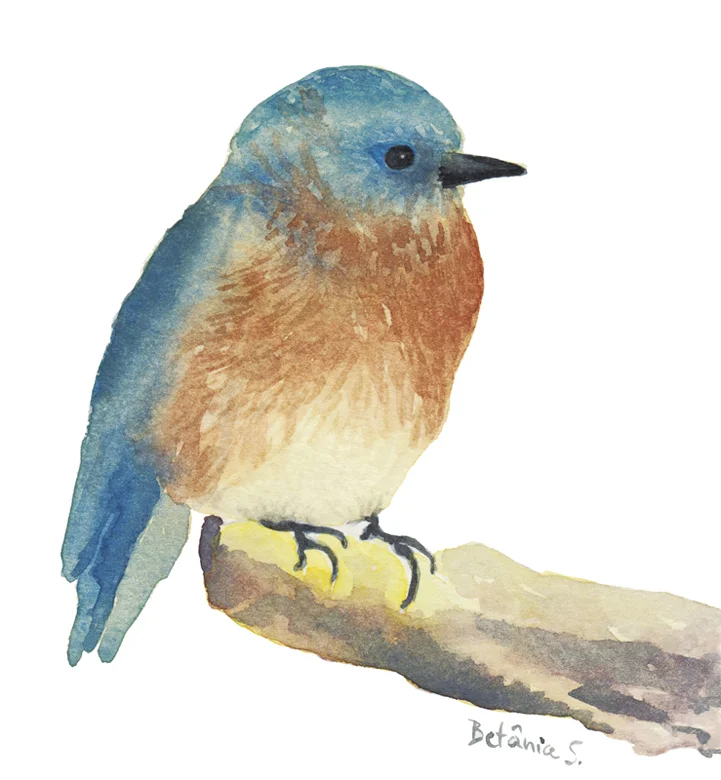 Passaro azul RGB_72px.jpg
