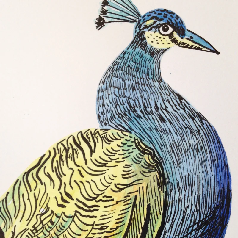 detail pheasant.jpg