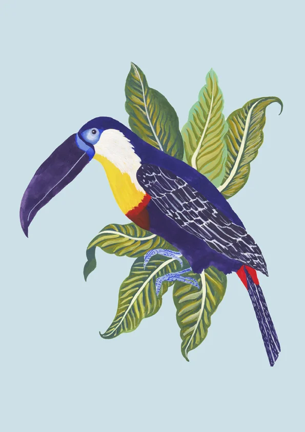 Tucano_Color_72px.jpg