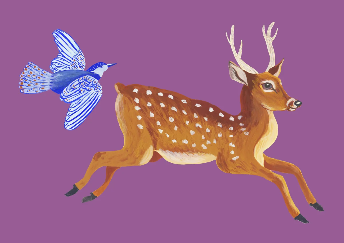 Bambi_Color_72px.jpg