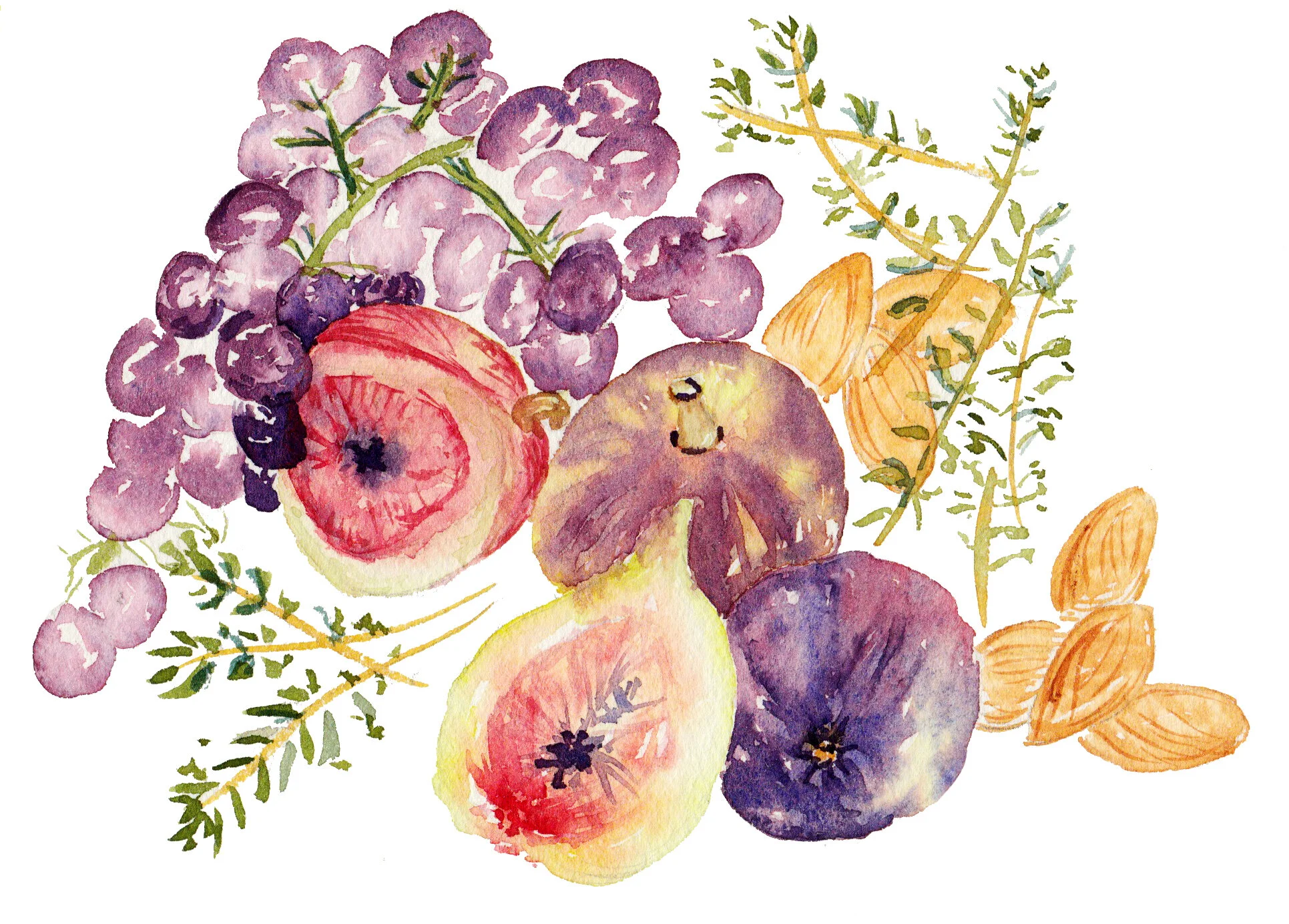 Figos e Uvas.jpg