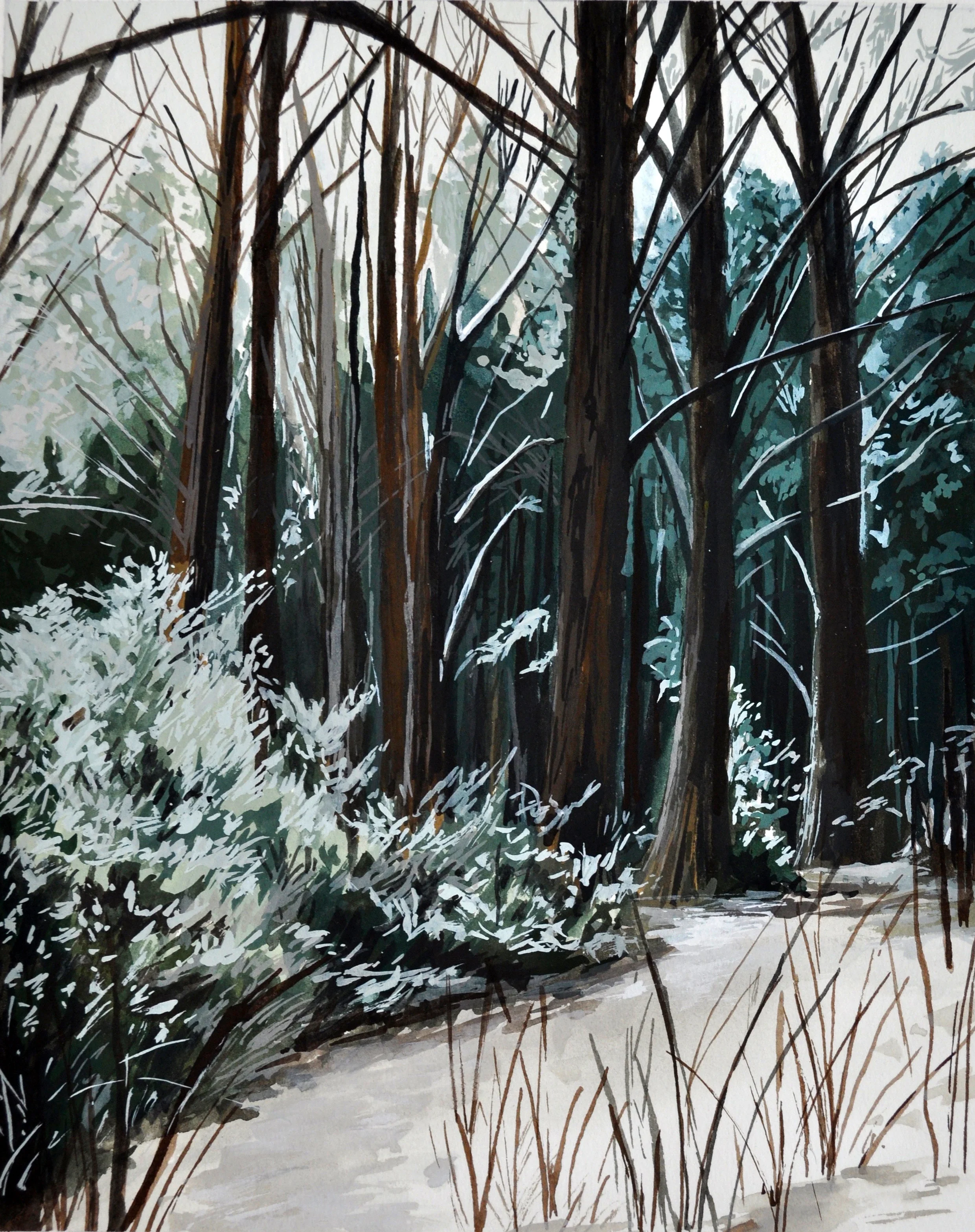 KHillman_TuesdayinthePinetum_2017.jpg
