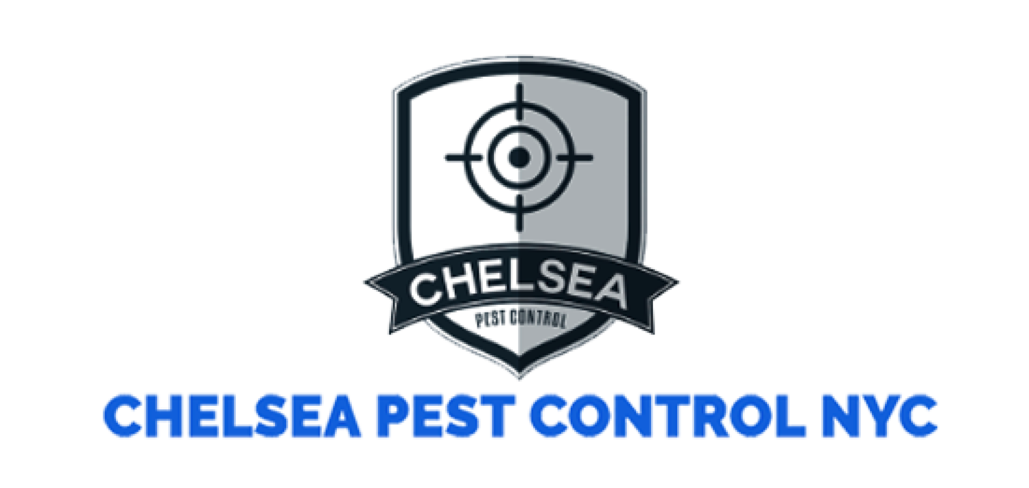 Chelsea Pest Control NYC