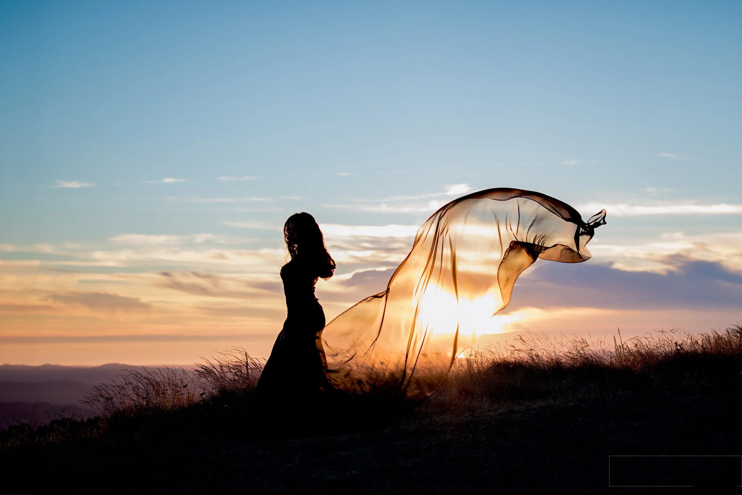 dsp abigail-11 2.JPG