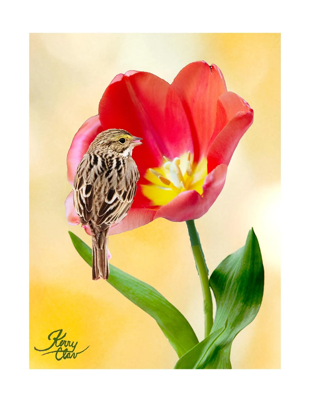 Comp 2.1.2 Gold Background.jpeg